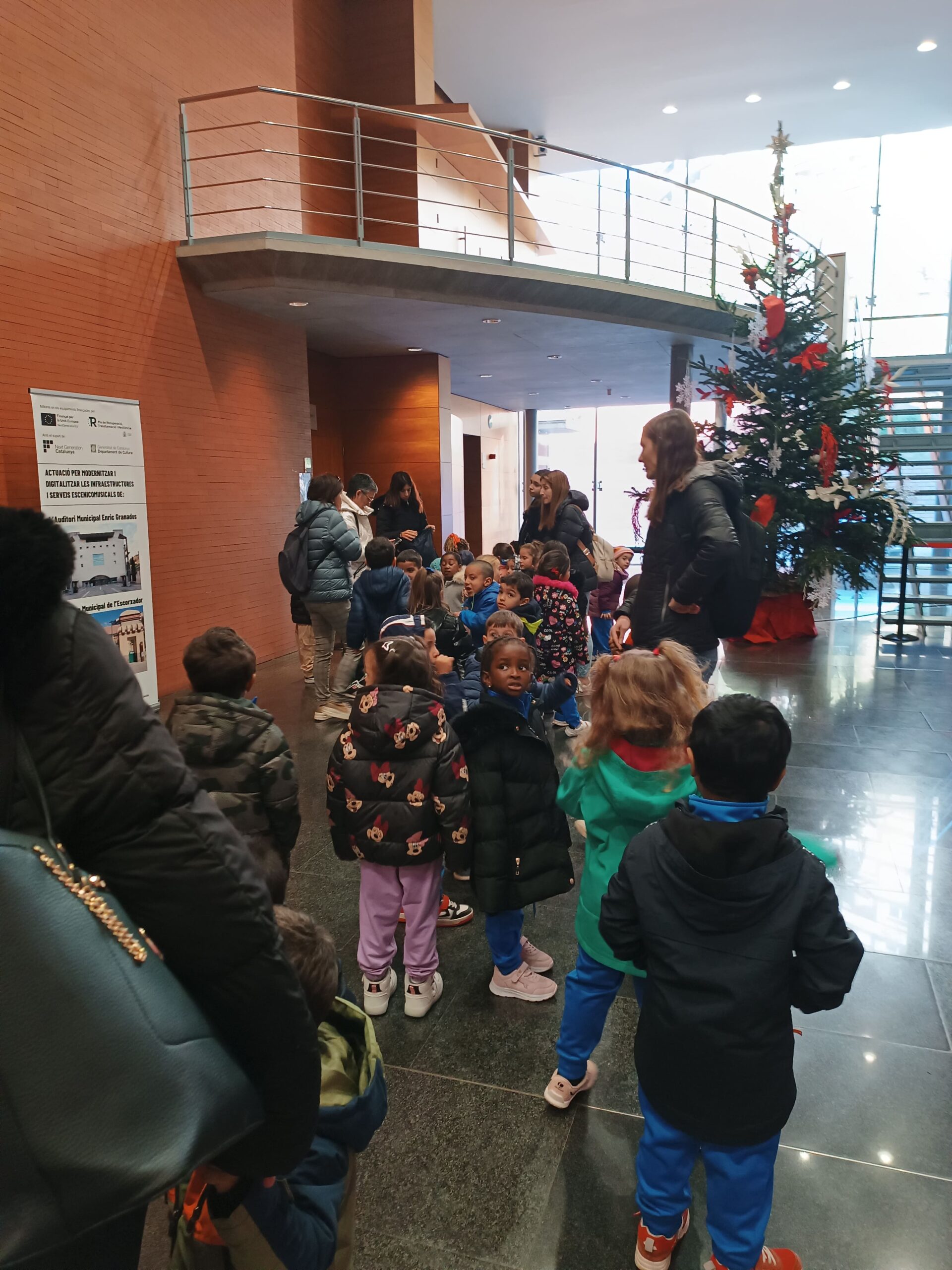 IMG_20241209_104907 (3)