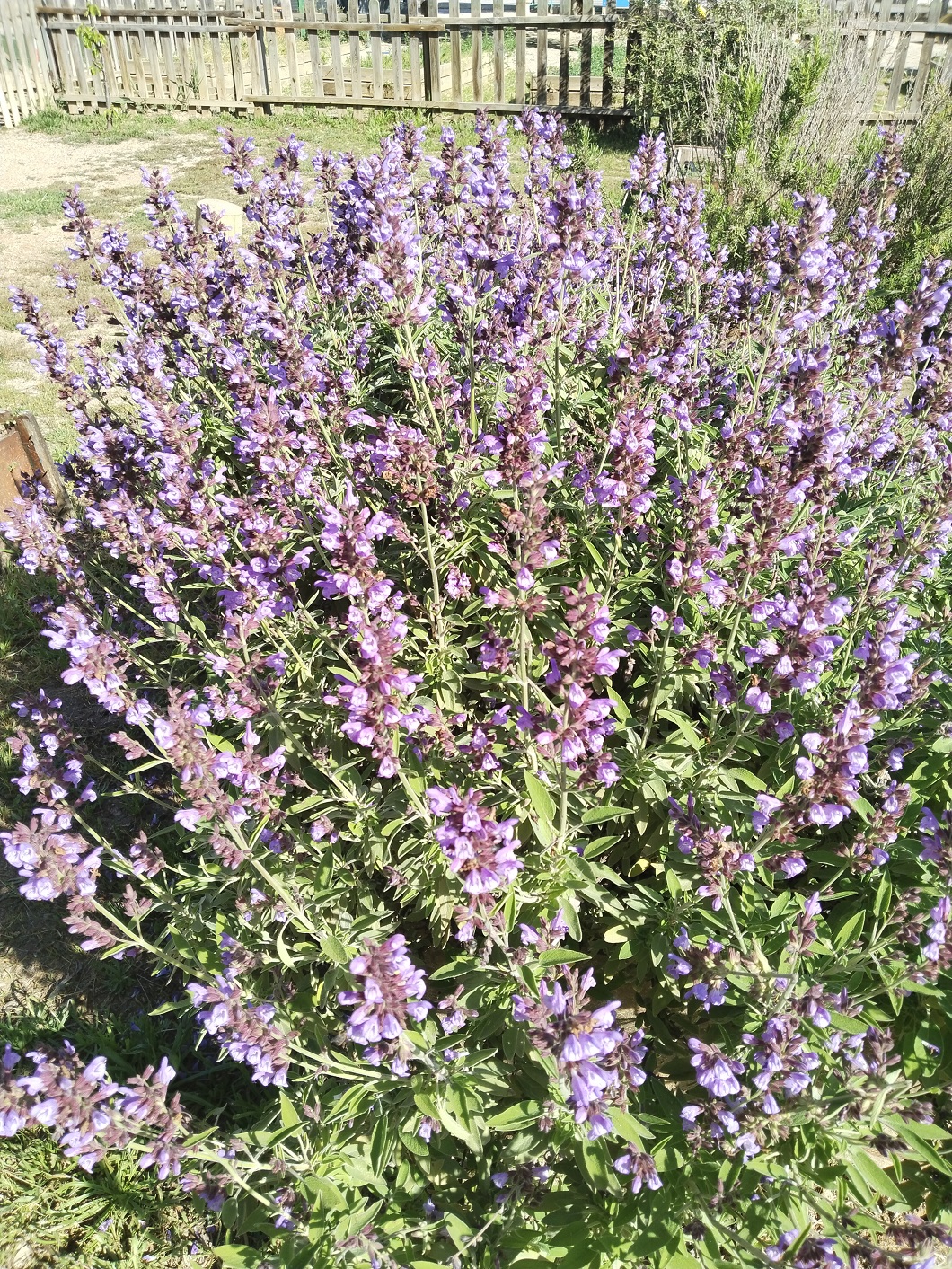 IMG_20250428_101722 (1)