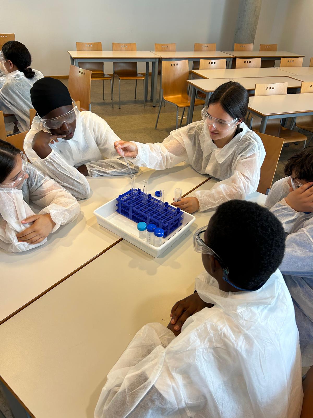 WhatsApp Image 2025-05-09 at 15.04.15