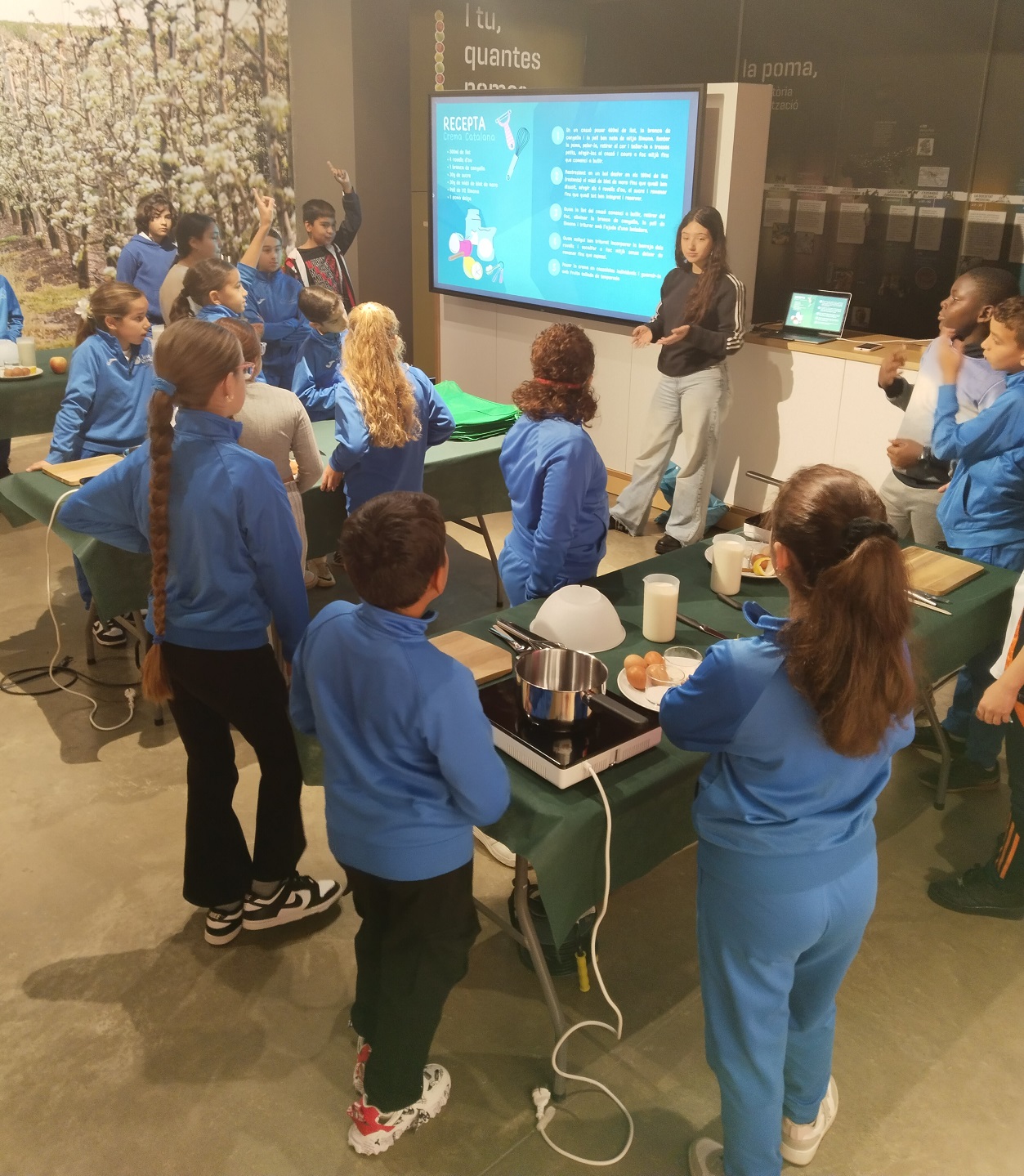 Sortidacosmofruita (7)