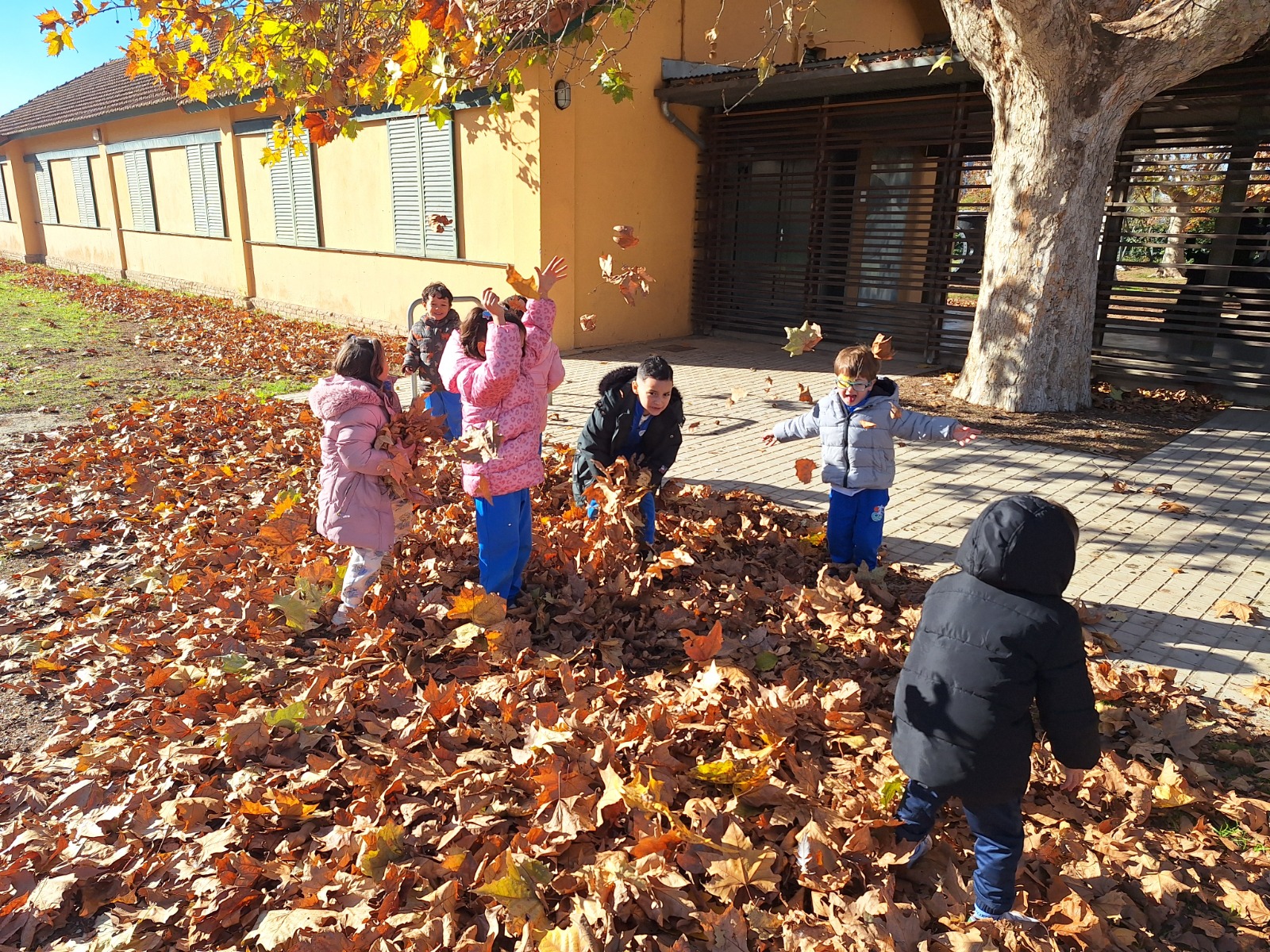 WhatsApp Image 2025-11-28 at 11.10.55 (4)