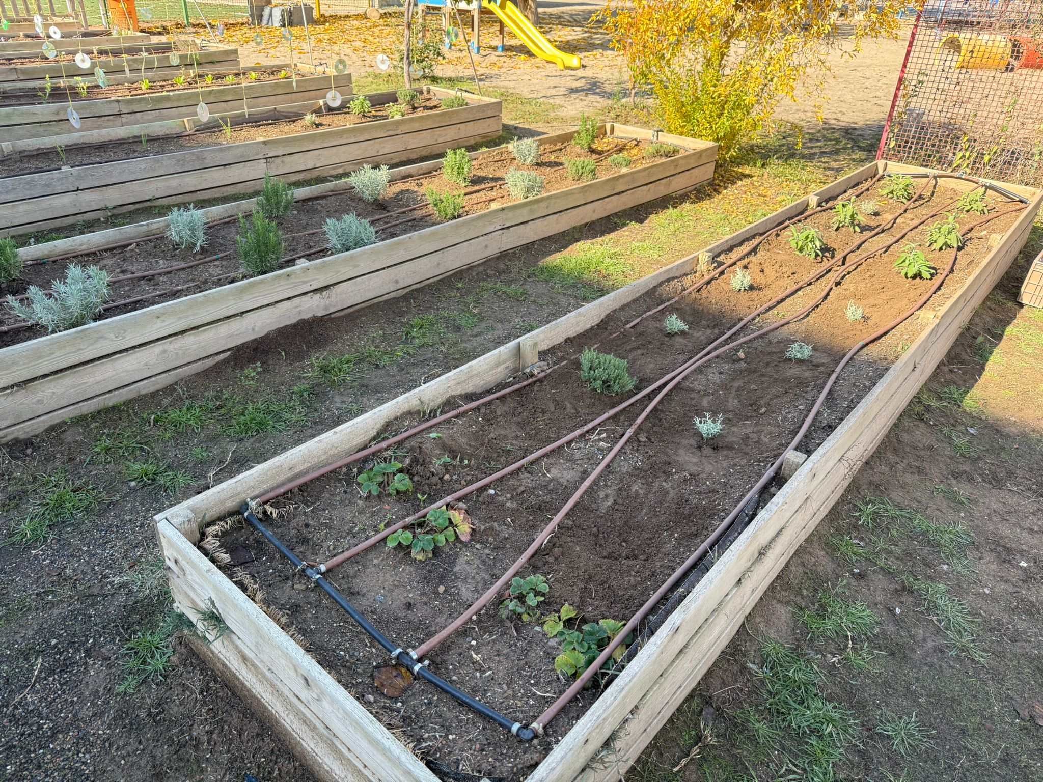 motion_photo_1816760046488326630