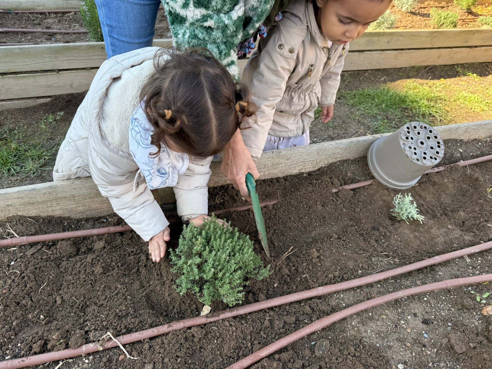 motion_photo_4529449876939930895