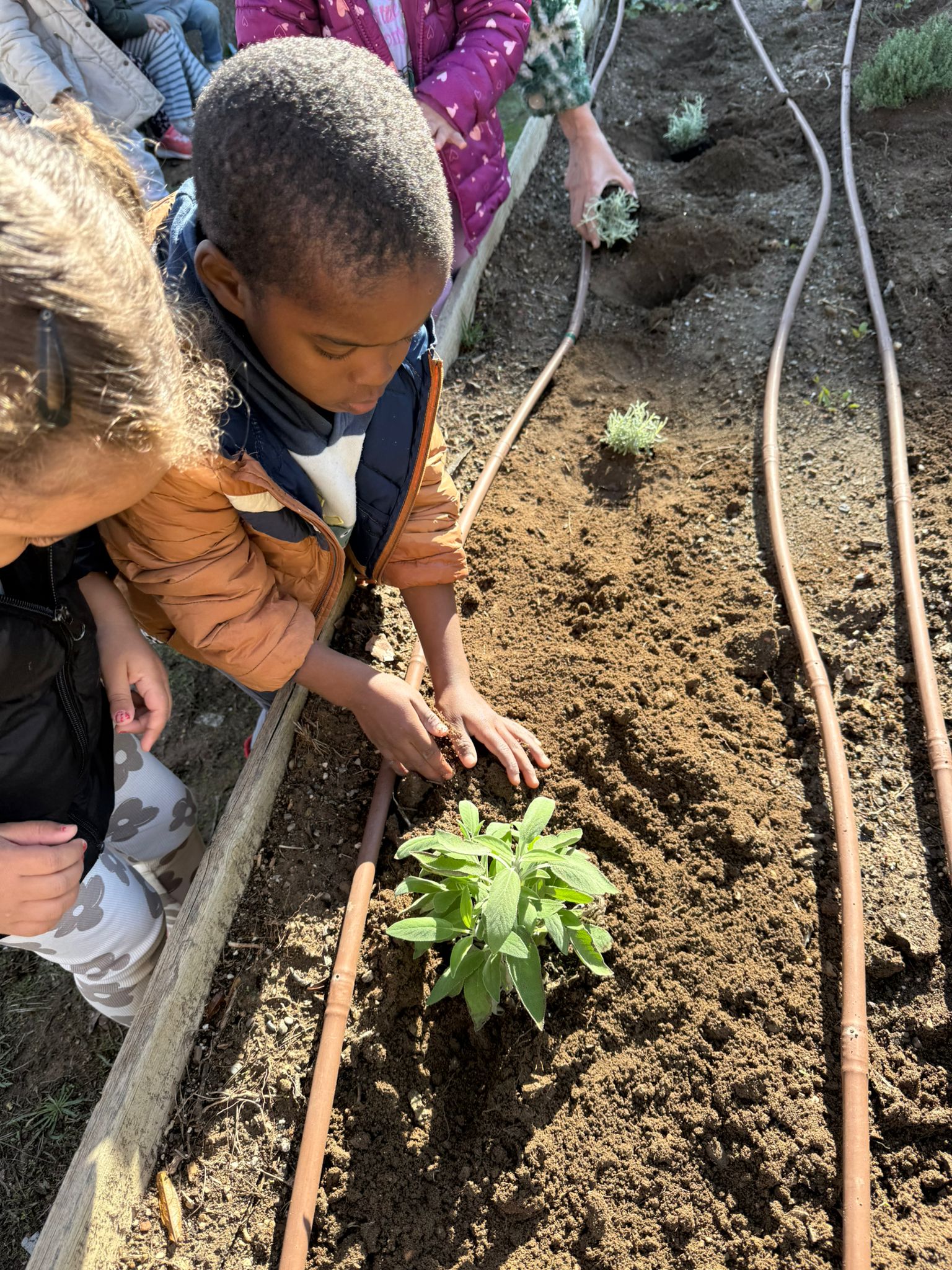 motion_photo_4736989325075442605