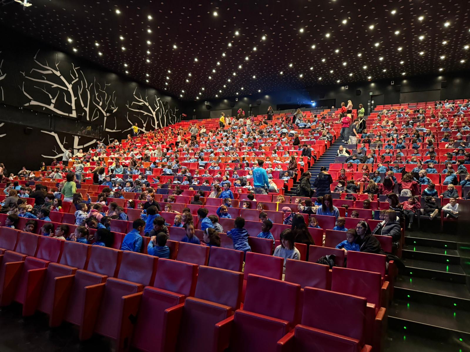 WhatsApp Image 2026-02-18 at 13.27.55