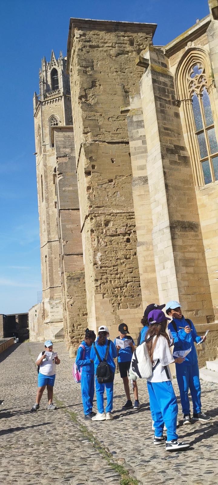 Sortida a la Seu Vella