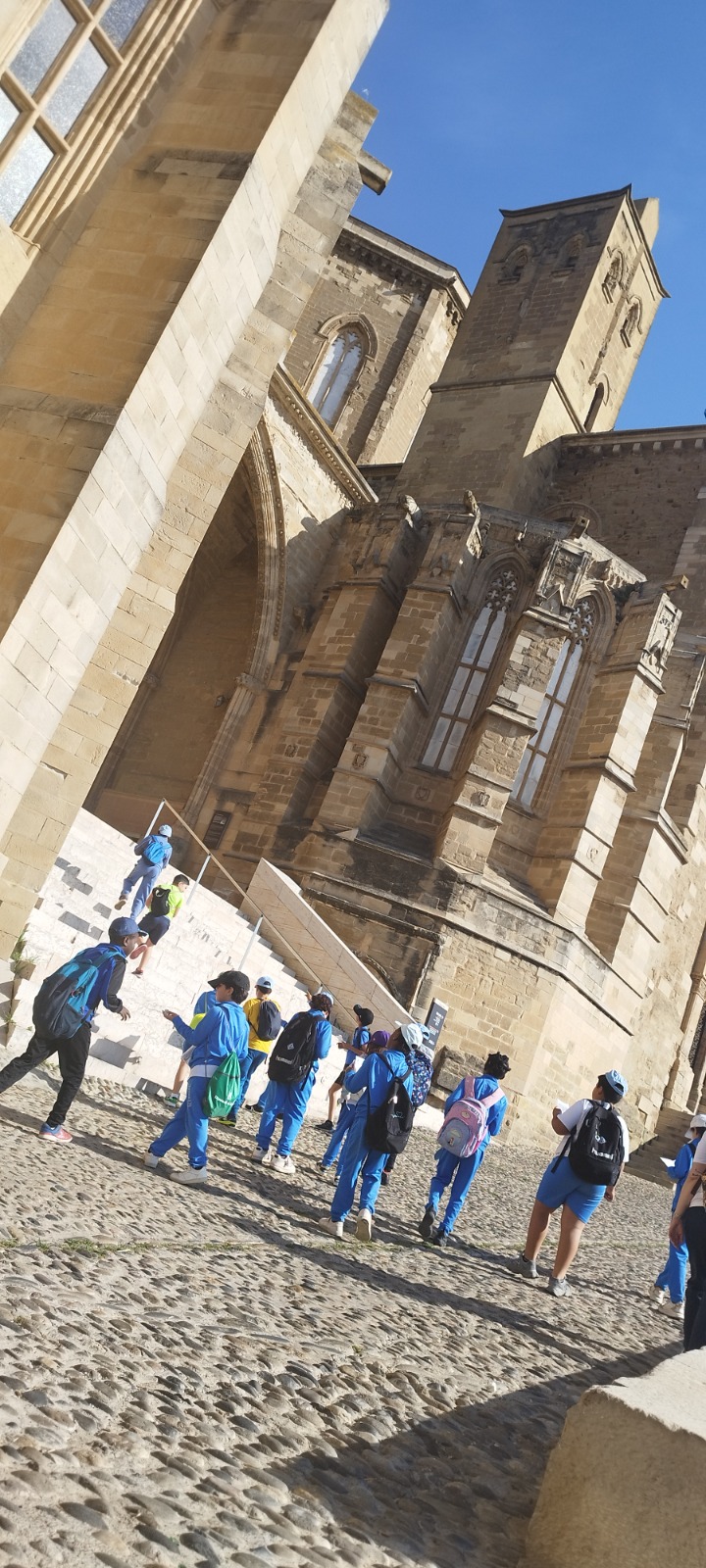 Sortida a la Seu Vella