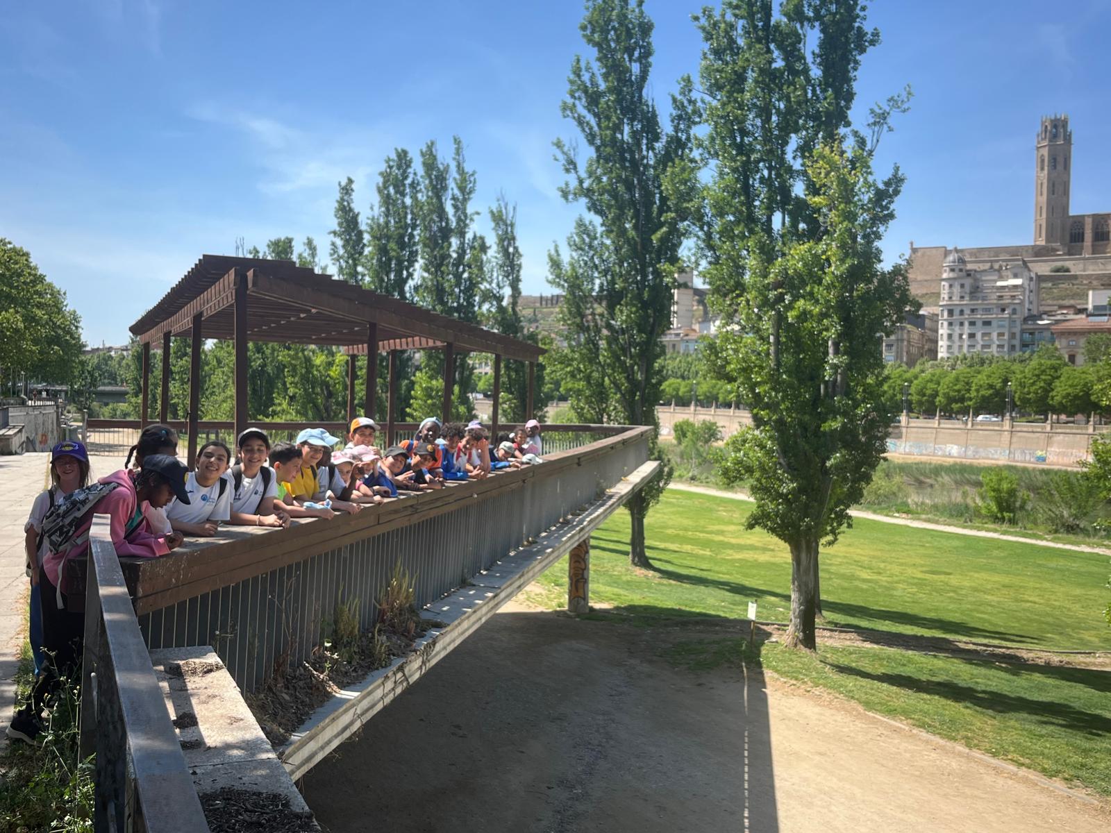 Sortida a la Seu Vella