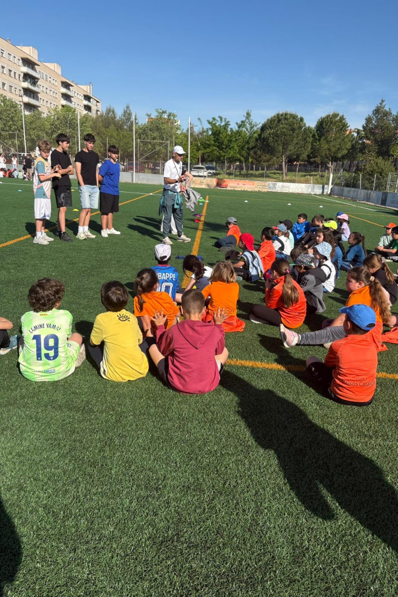 comprimir imatges web (2)