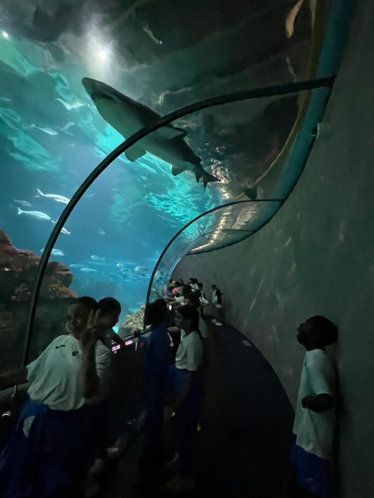 Sortida a l'Aquàrium de Barcelona