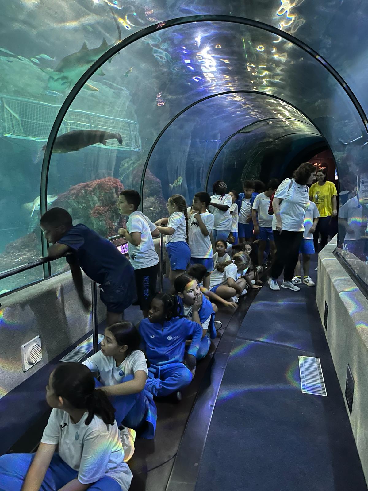Sortida a l'Aquàrium de Barcelona
