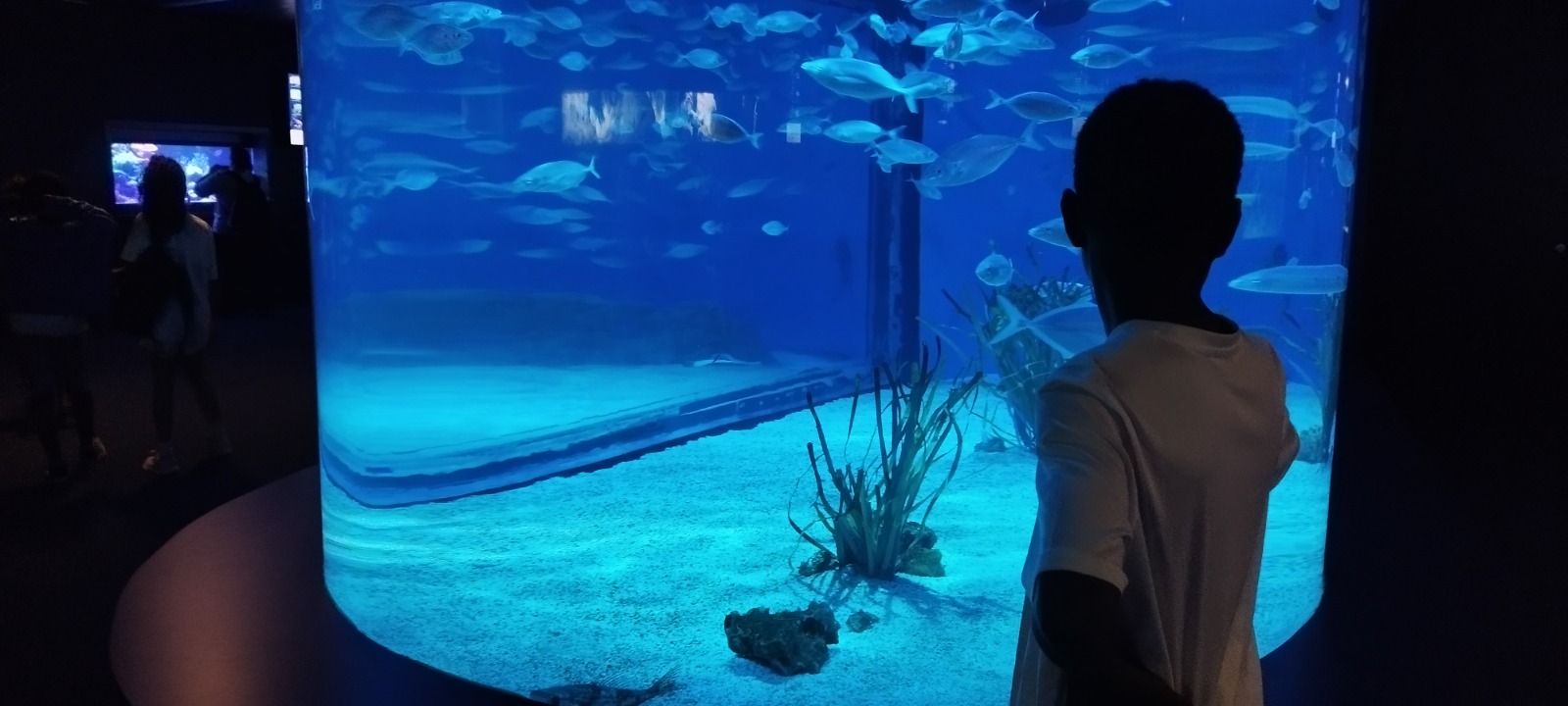 Sortida a l'Aquàrium de Barcelona