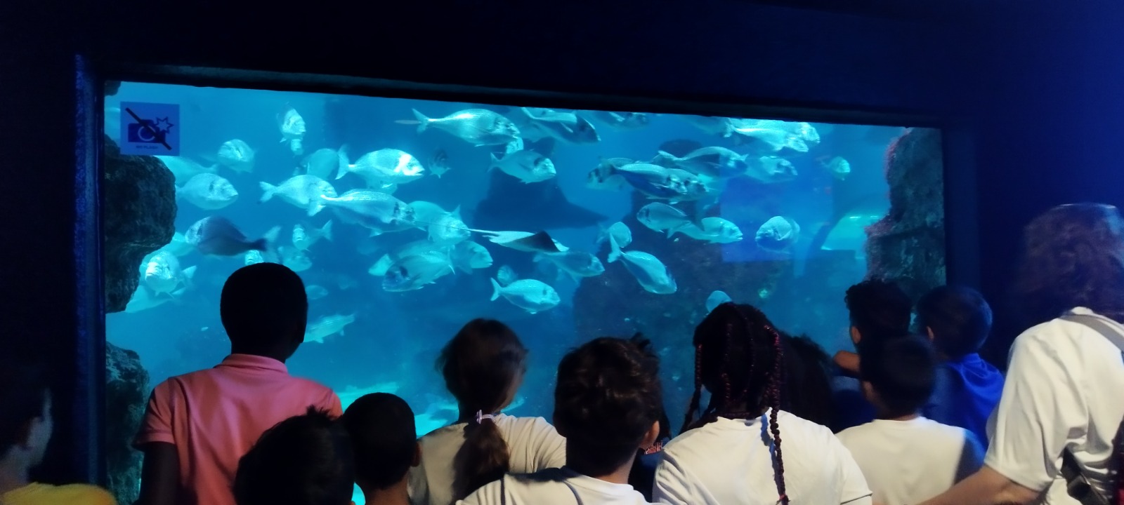Sortida a l'Aquàrium de Barcelona