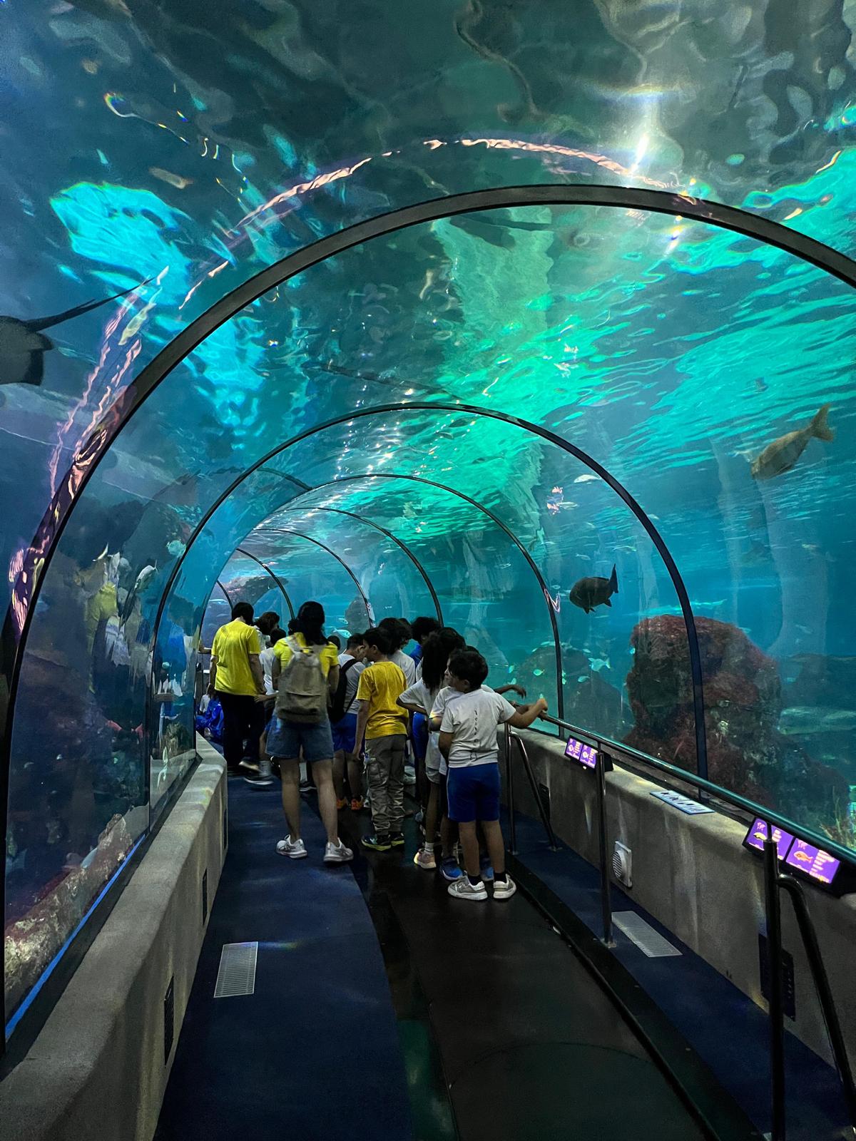 Sortida a l'Aquàrium de Barcelona