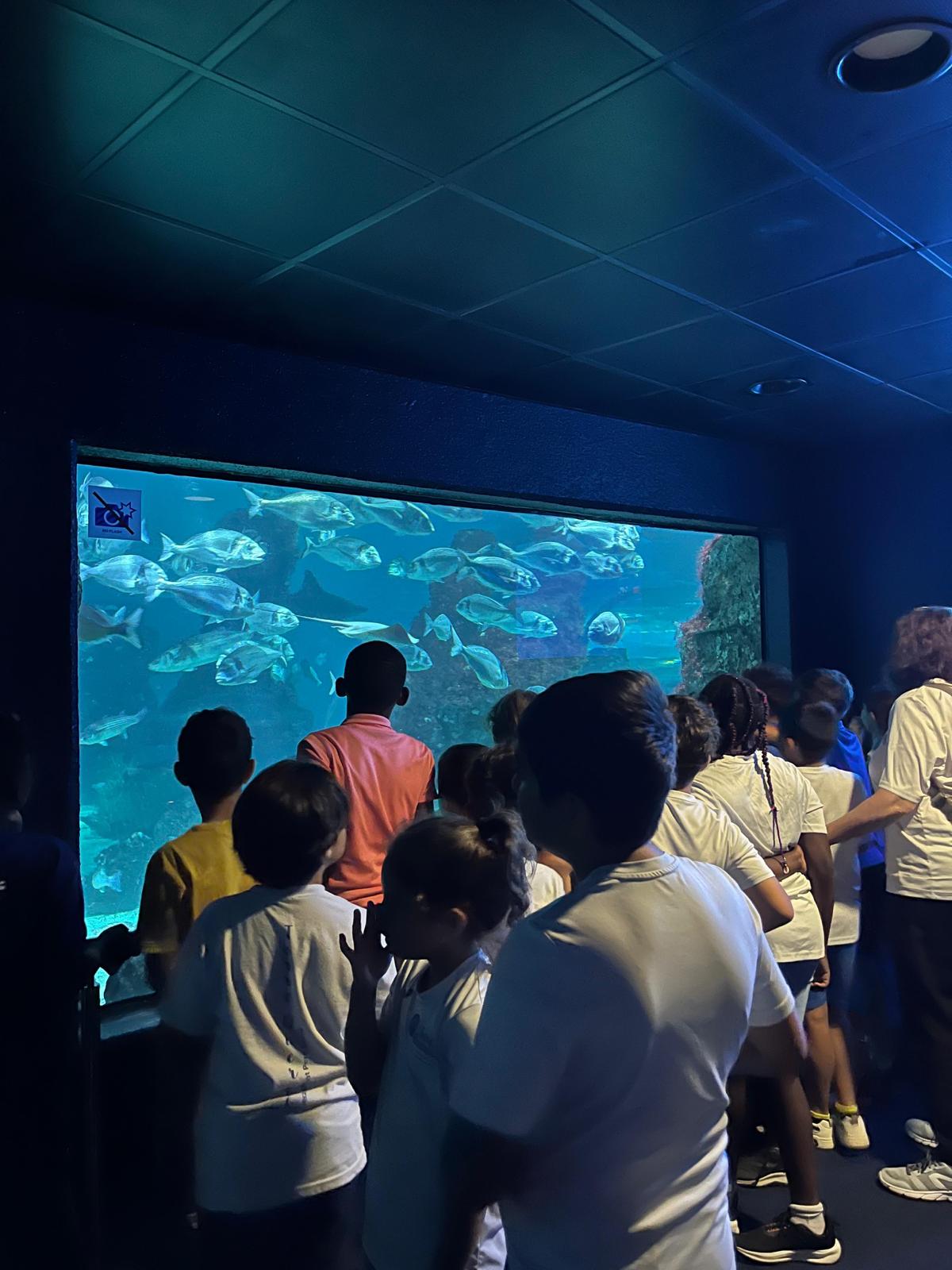 Sortida a l'Aquàrium de Barcelona