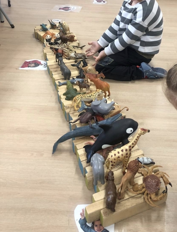 Setmana del 19 al 23 de Gener