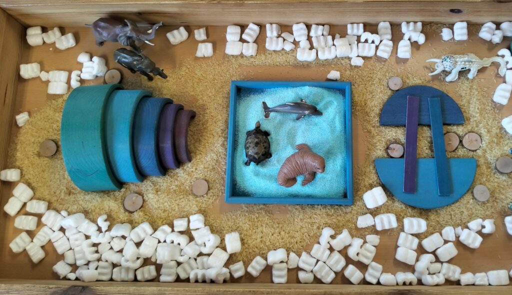 Setmana del 19 al 23 de Gener