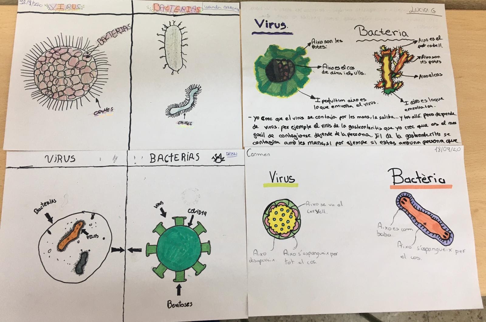 Dibuixos virus i bacteris