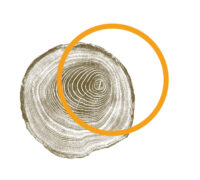 Institut Escola Xirinacs