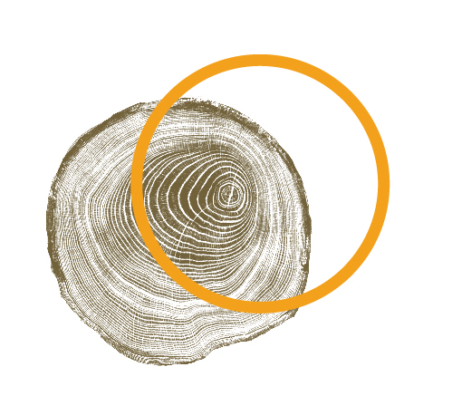 Institut Escola Xirinacs