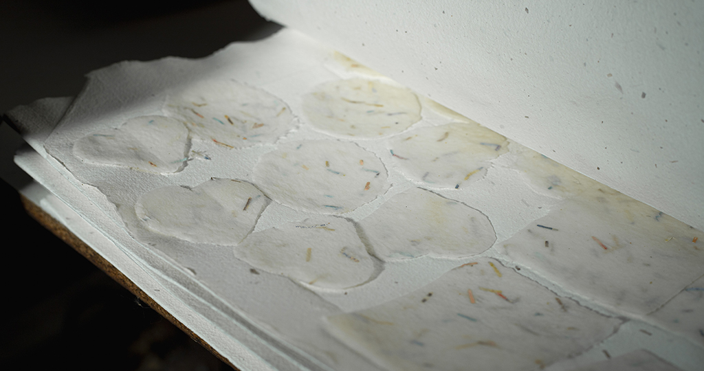 alguero-moli-paperer-ca-oliver-5