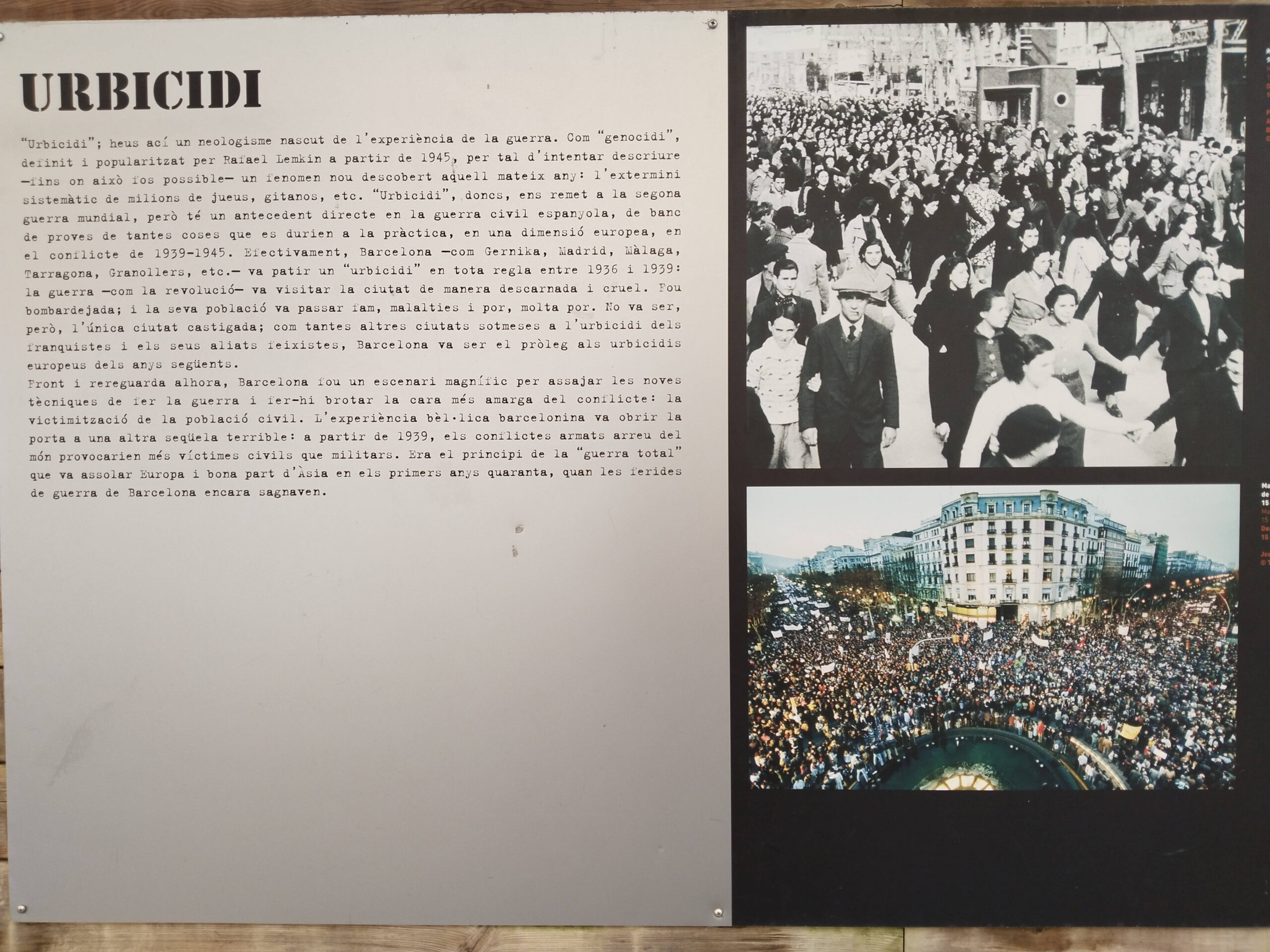 IMG_20230329_121915_red