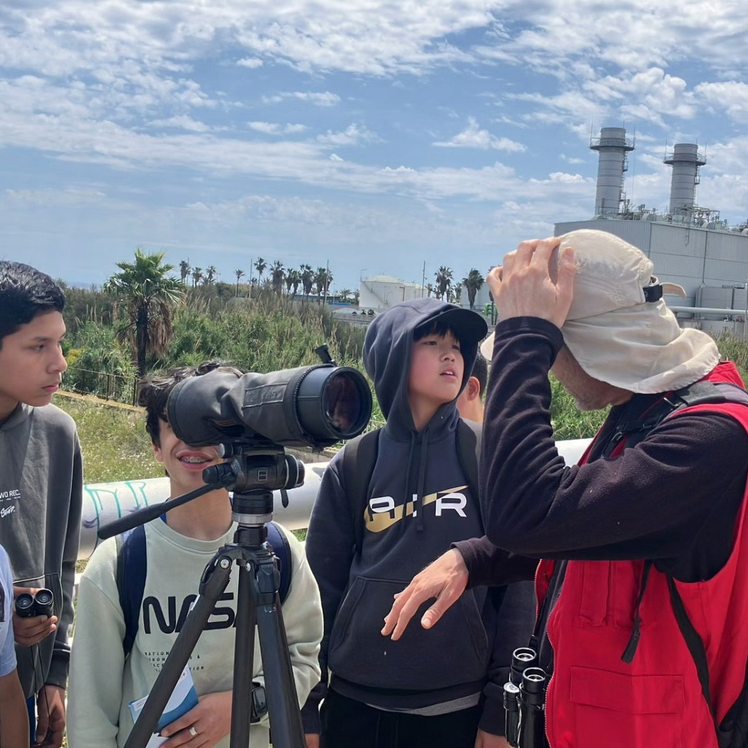 IMG_20240525_171843_142