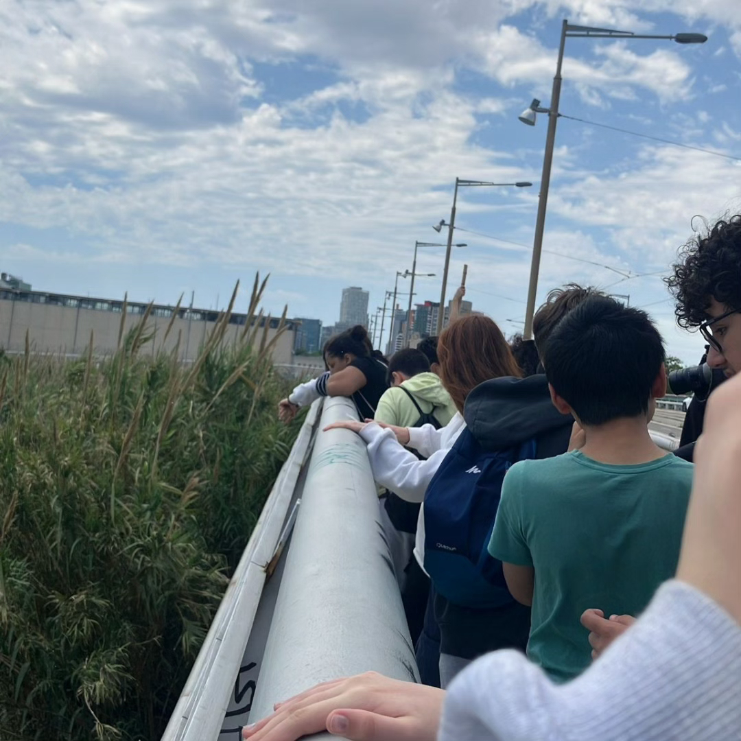 IMG_20240525_171843_251