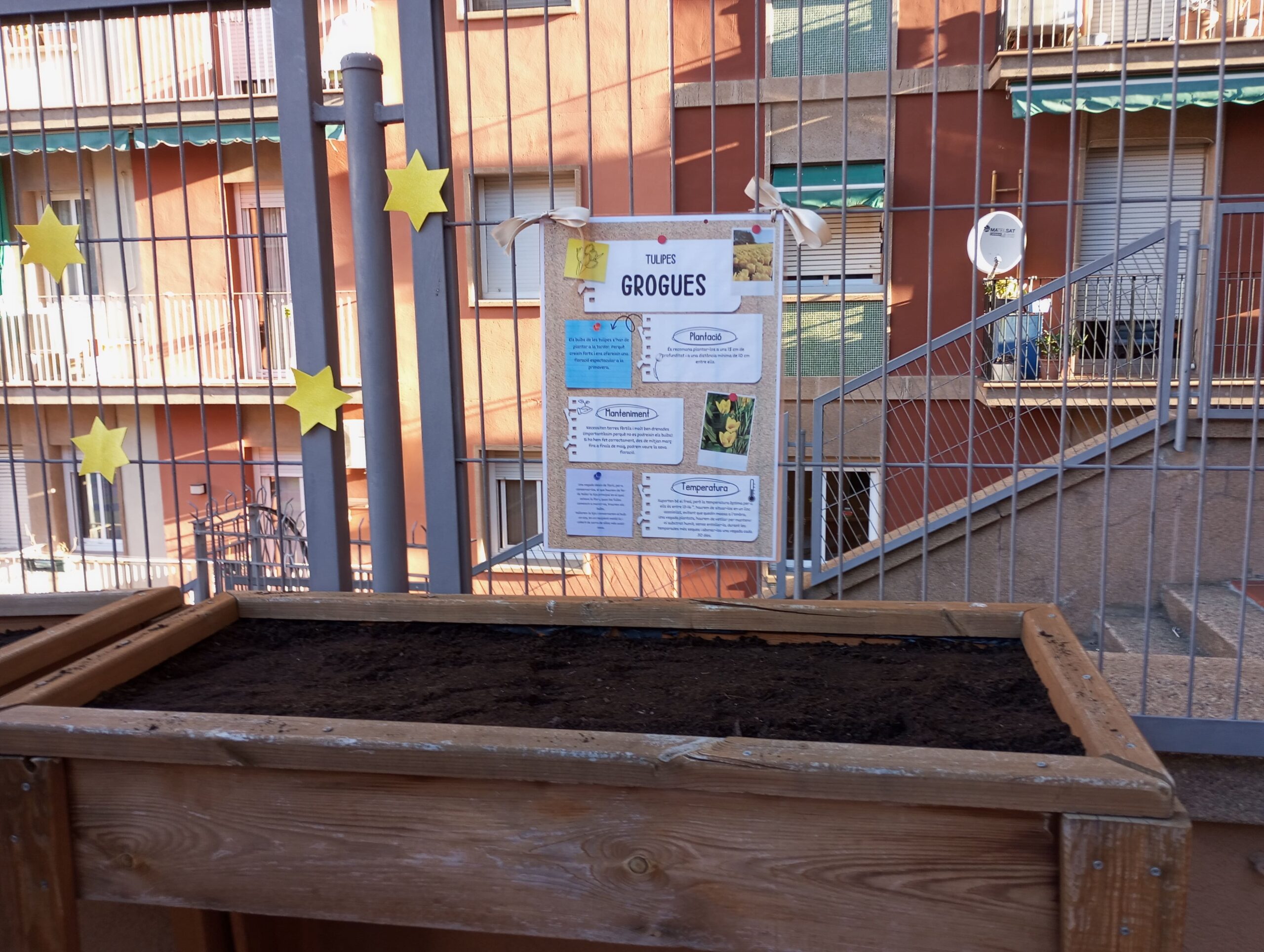 Projecte Crocus10_2023-2024