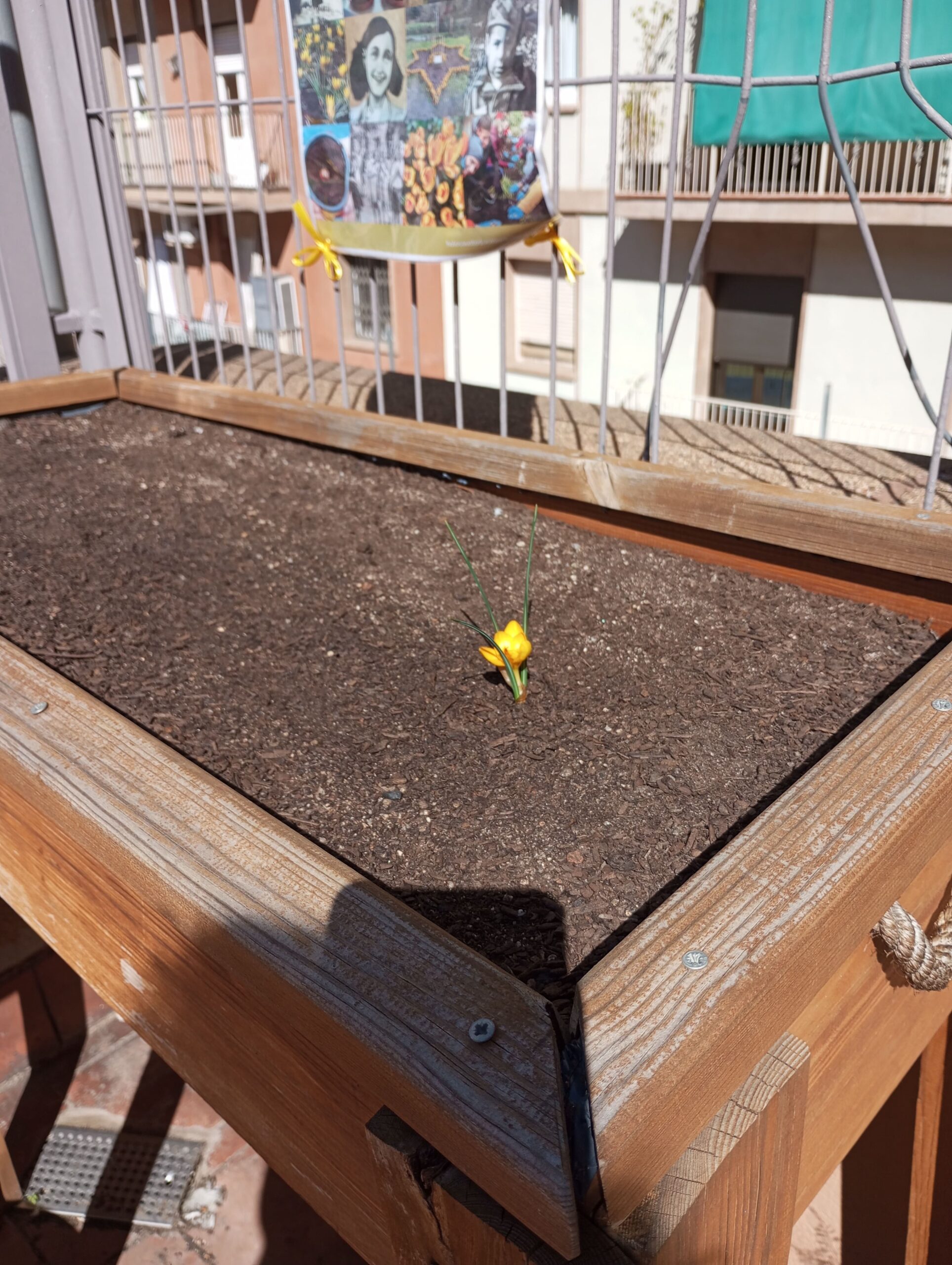 Projecte Crocus12_2023-2024