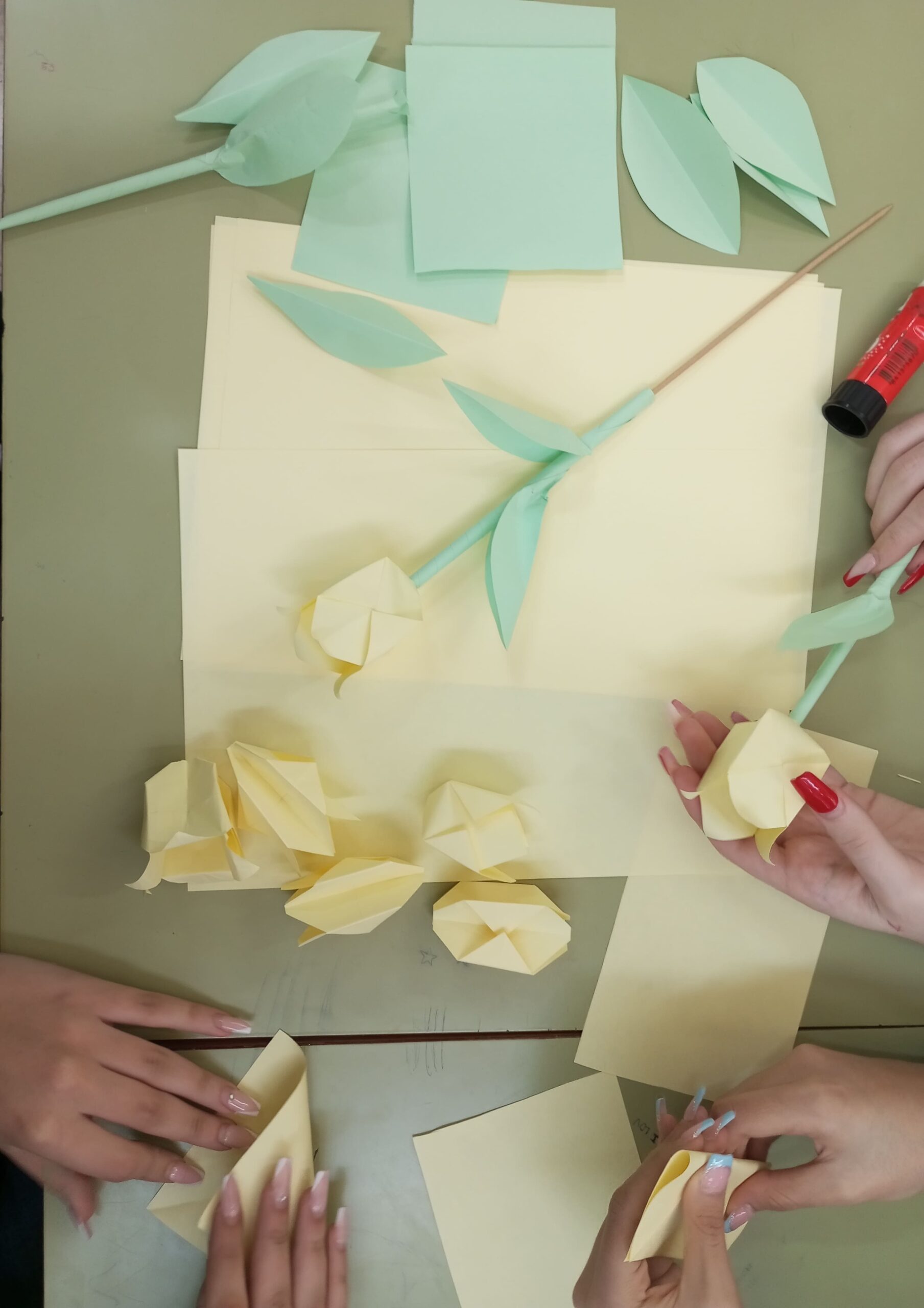 Projecte Crocus13_2023-2024