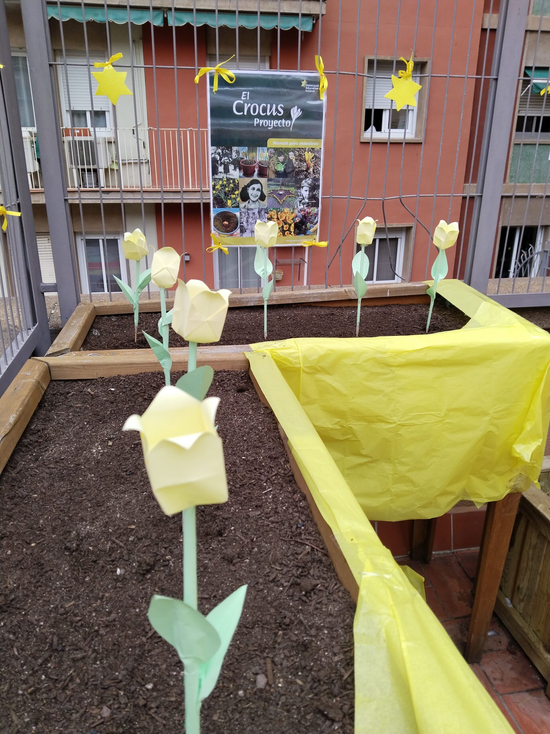 Projecte Crocus14_2023-2024