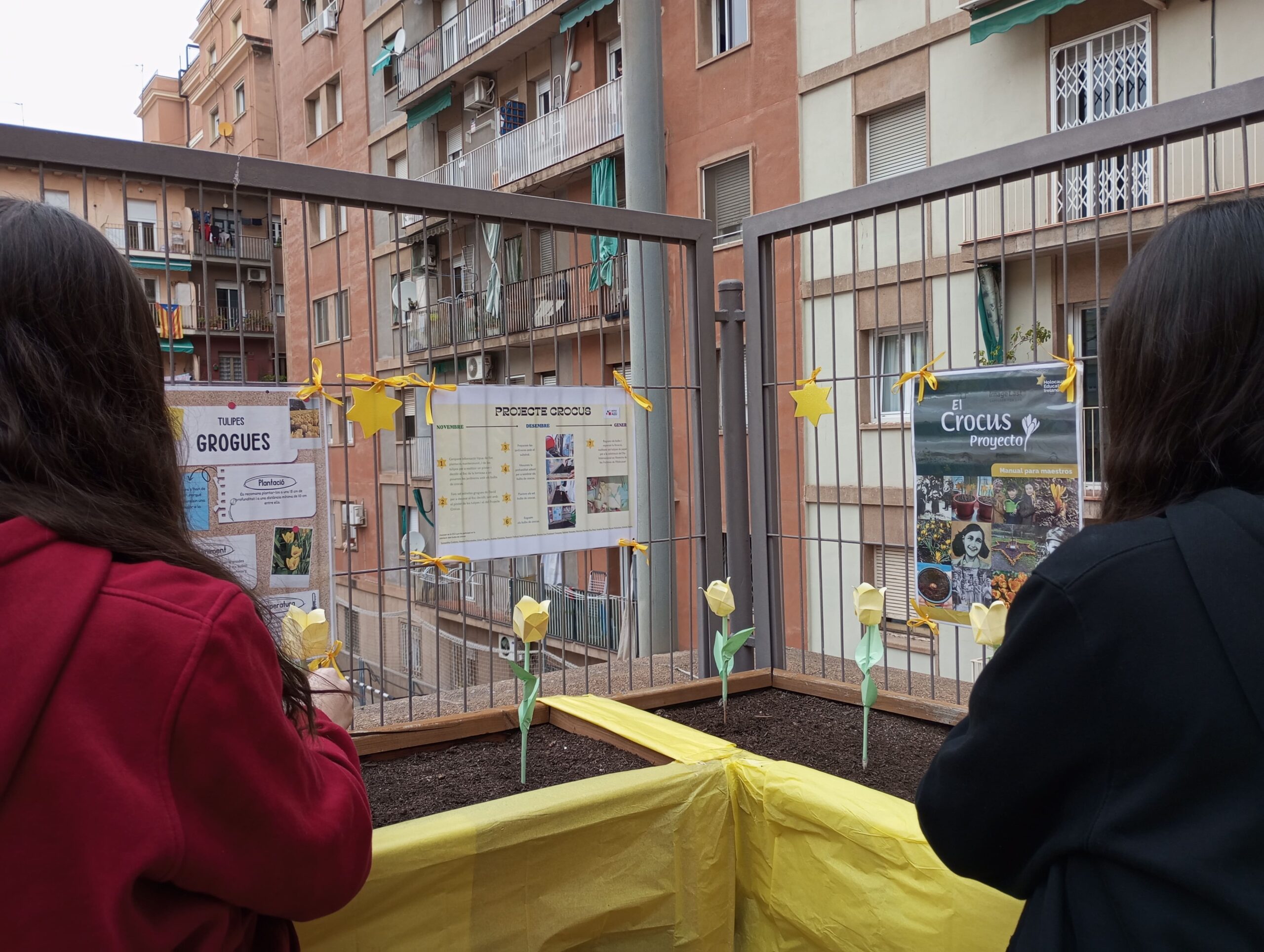 Projecte Crocus15_2023-2024