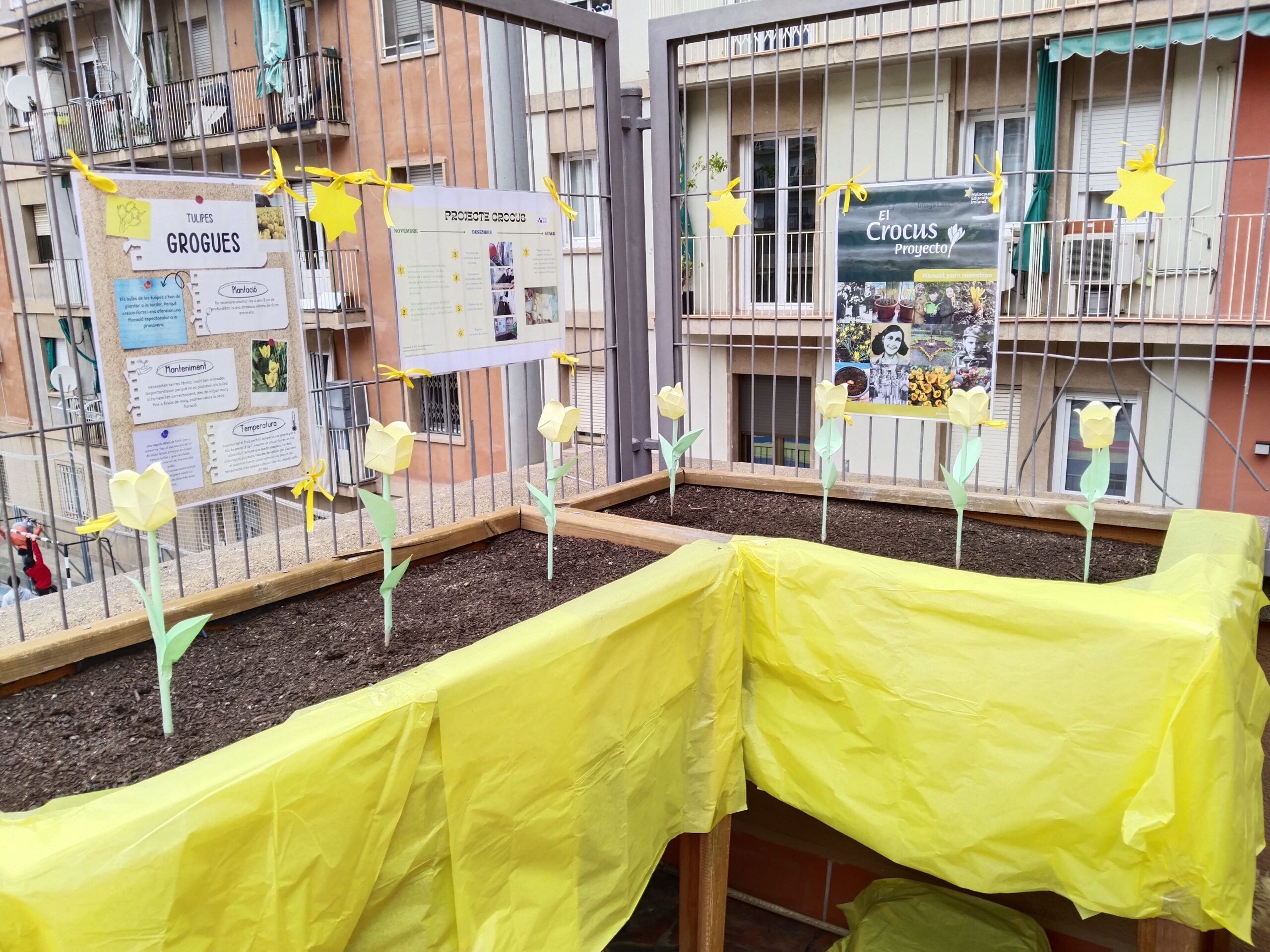 Projecte Crocus16_2023-2024