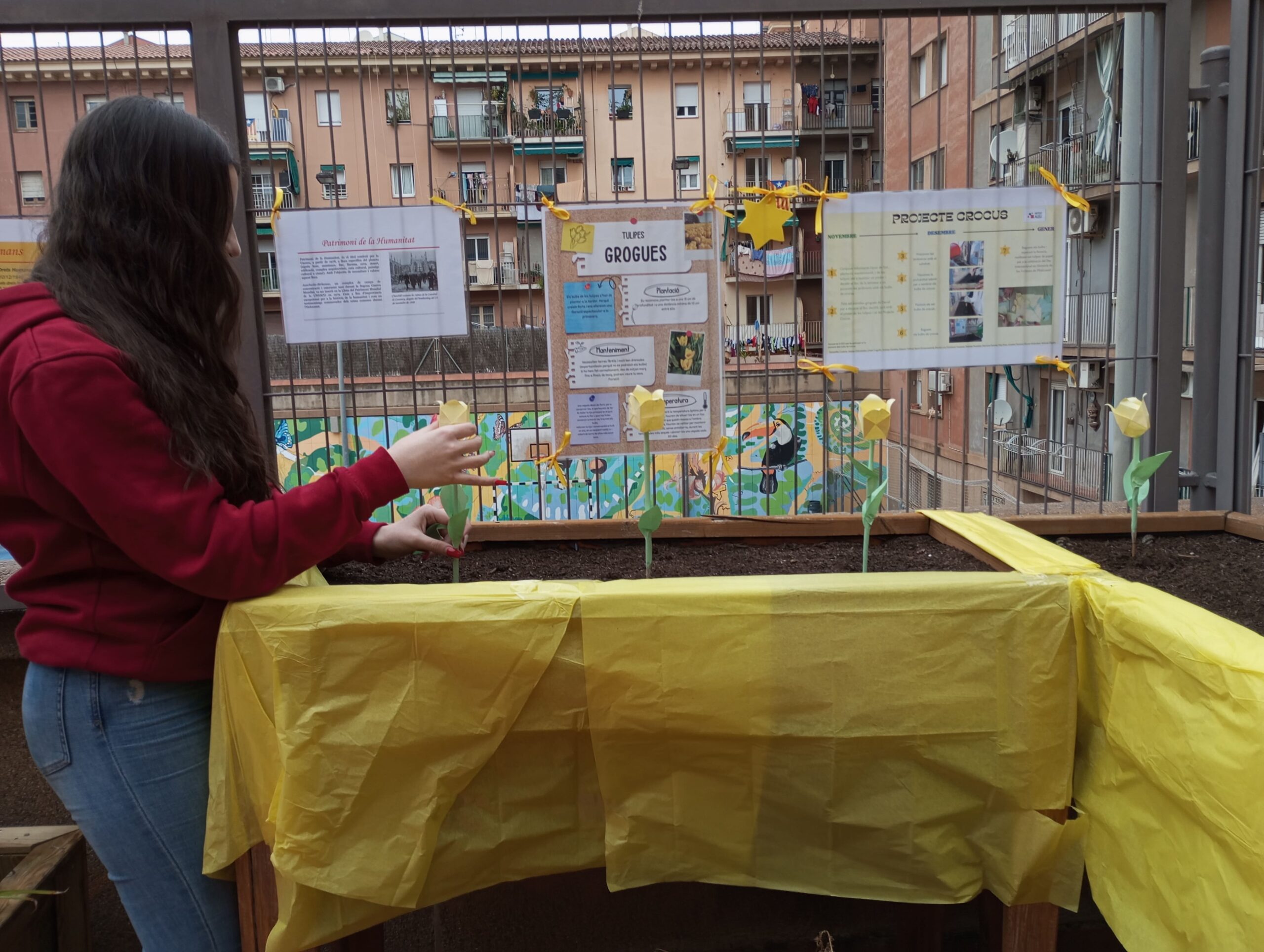 Projecte Crocus17_2023-2024