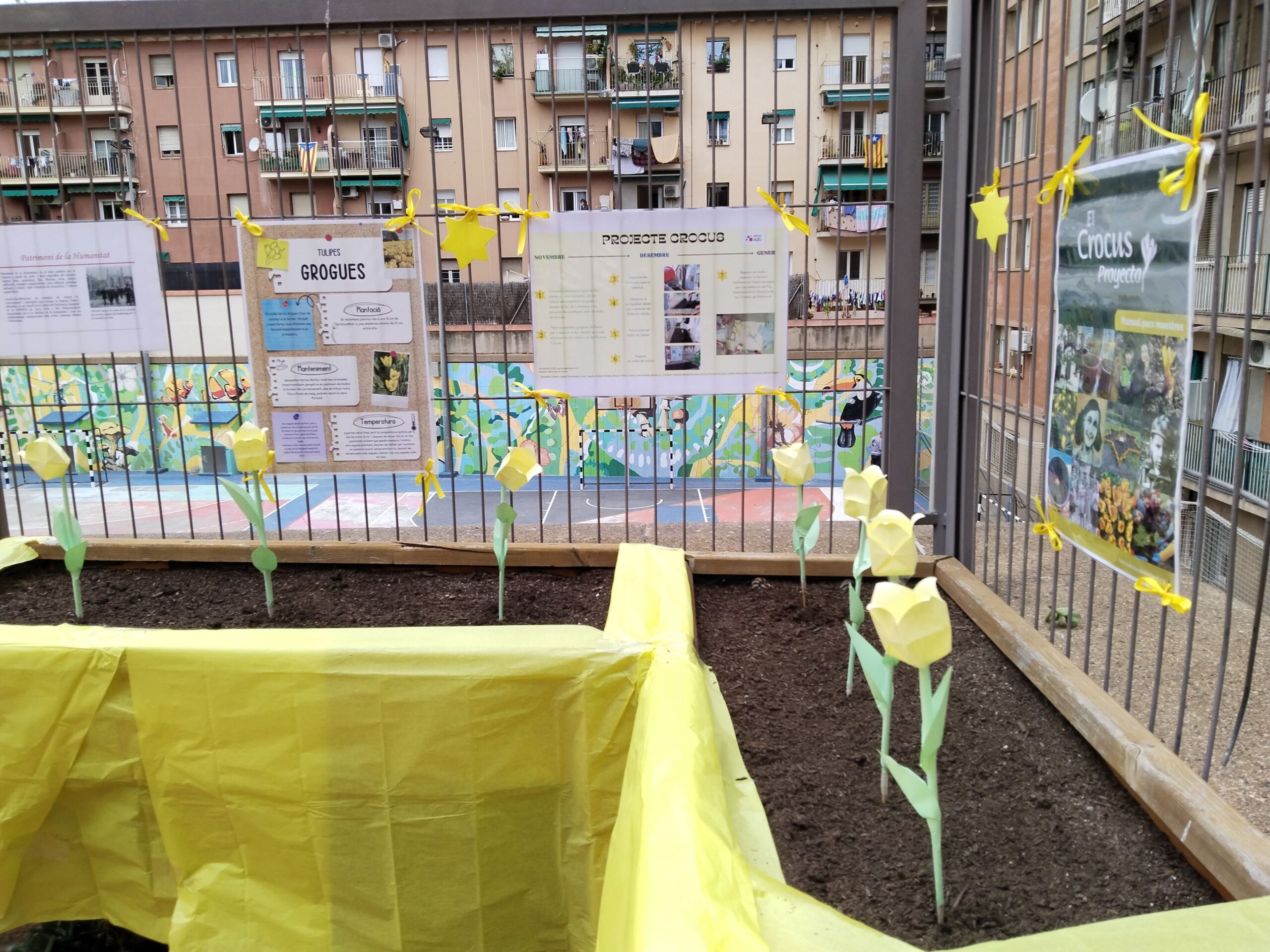 Projecte Crocus18_2023-2024