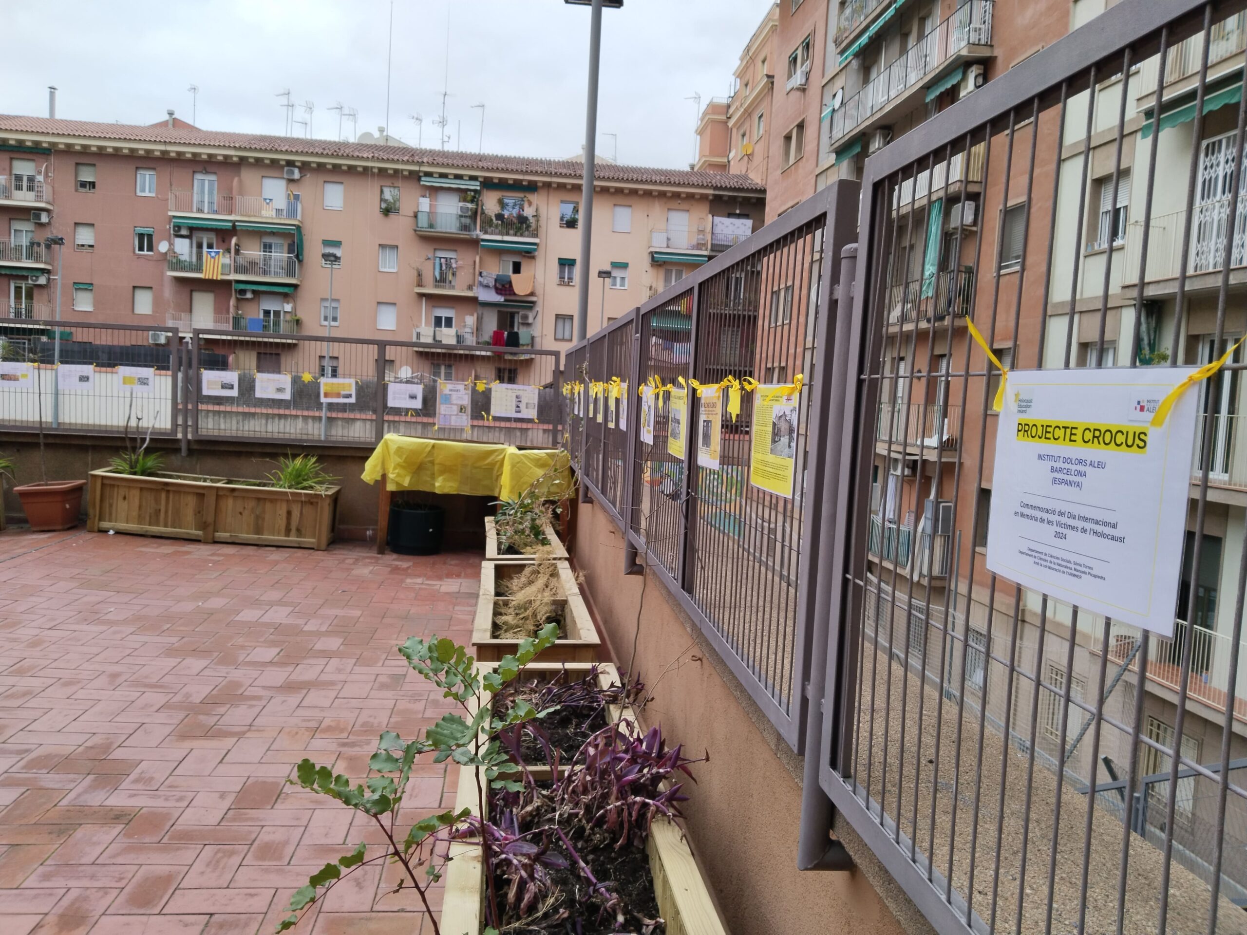 Projecte Crocus19_2023-2024