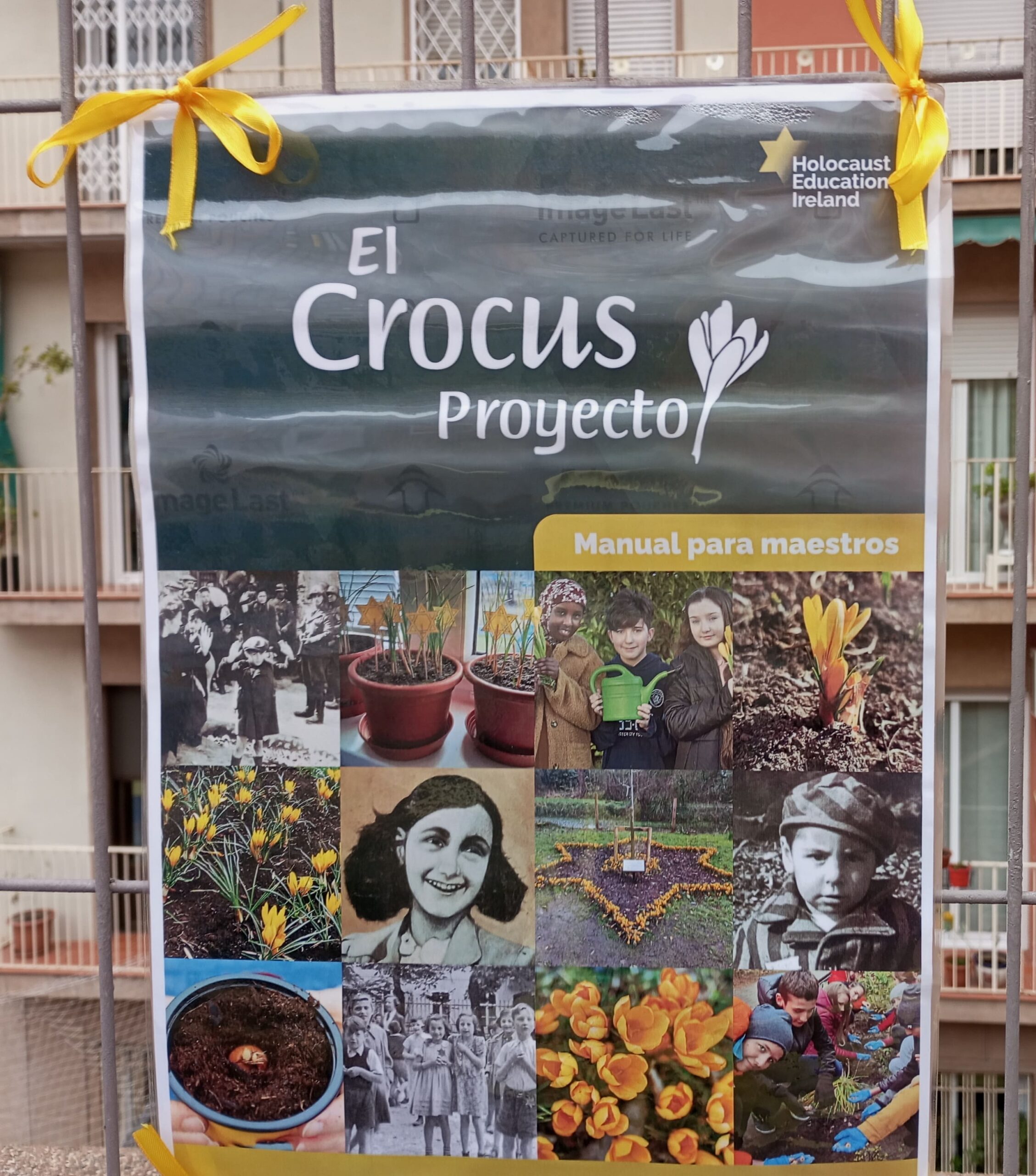 Projecte Crocus1_2023-2024