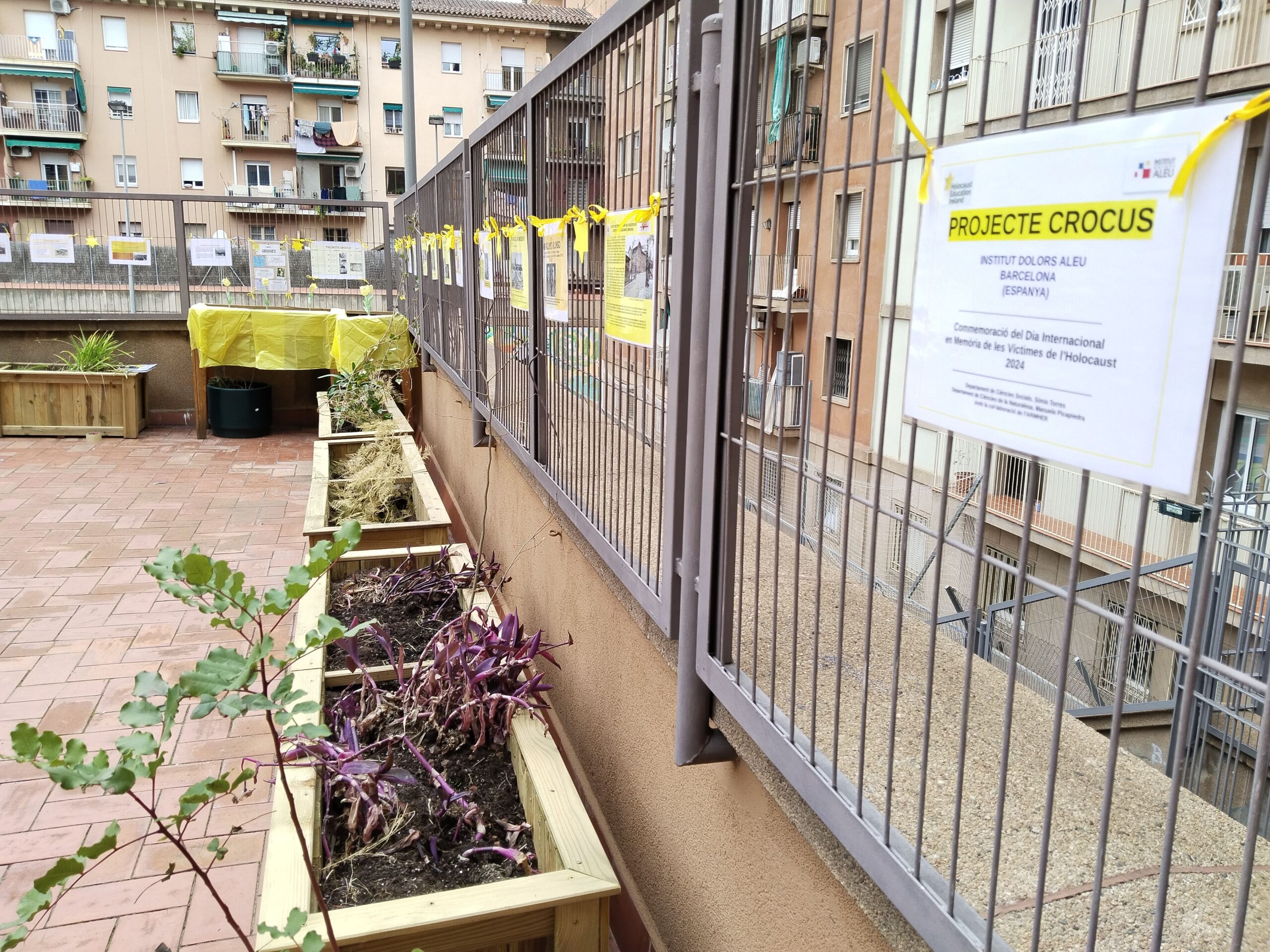 Projecte Crocus20_2023-2024