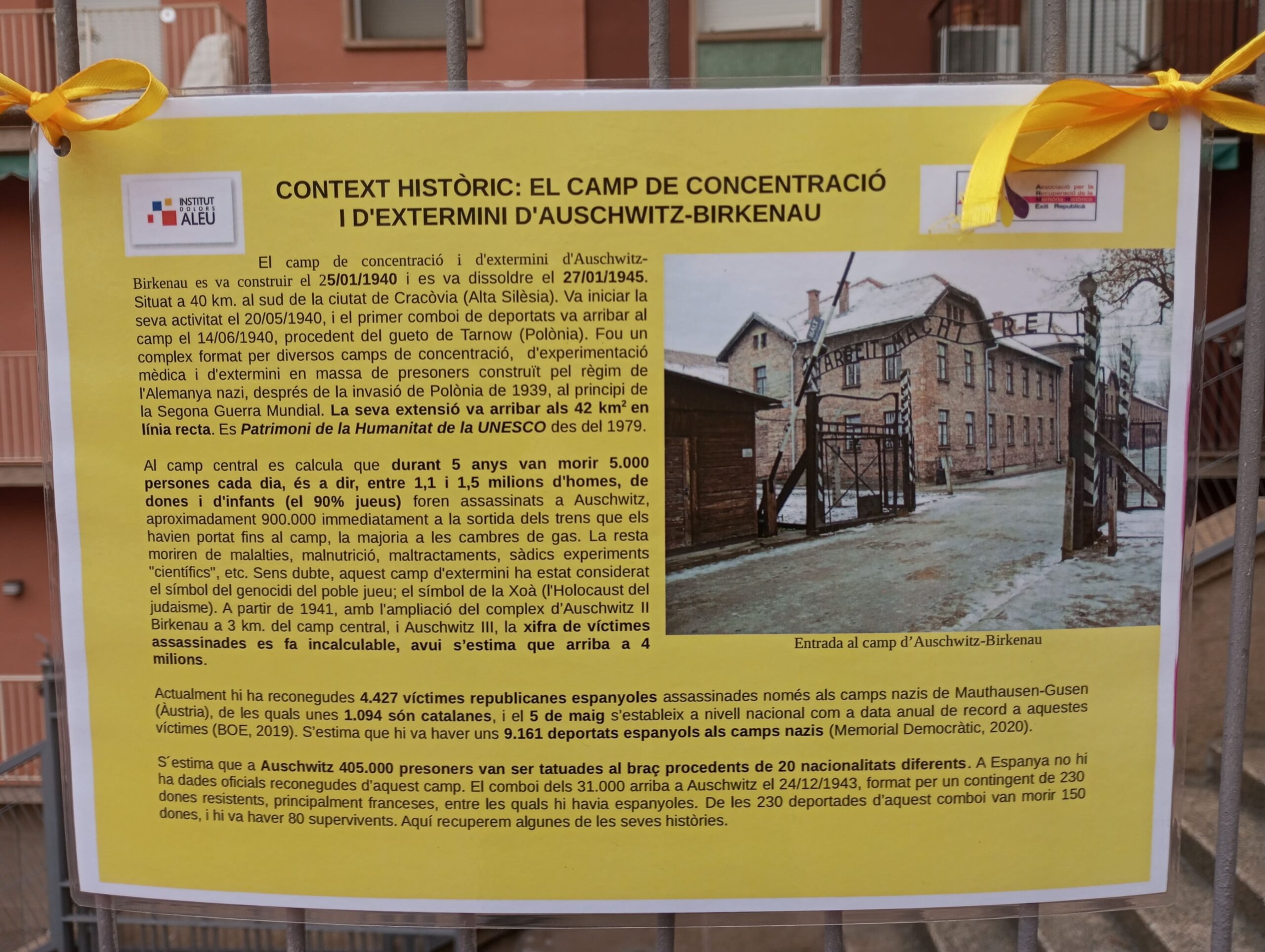 Projecte Crocus22_2023-2024