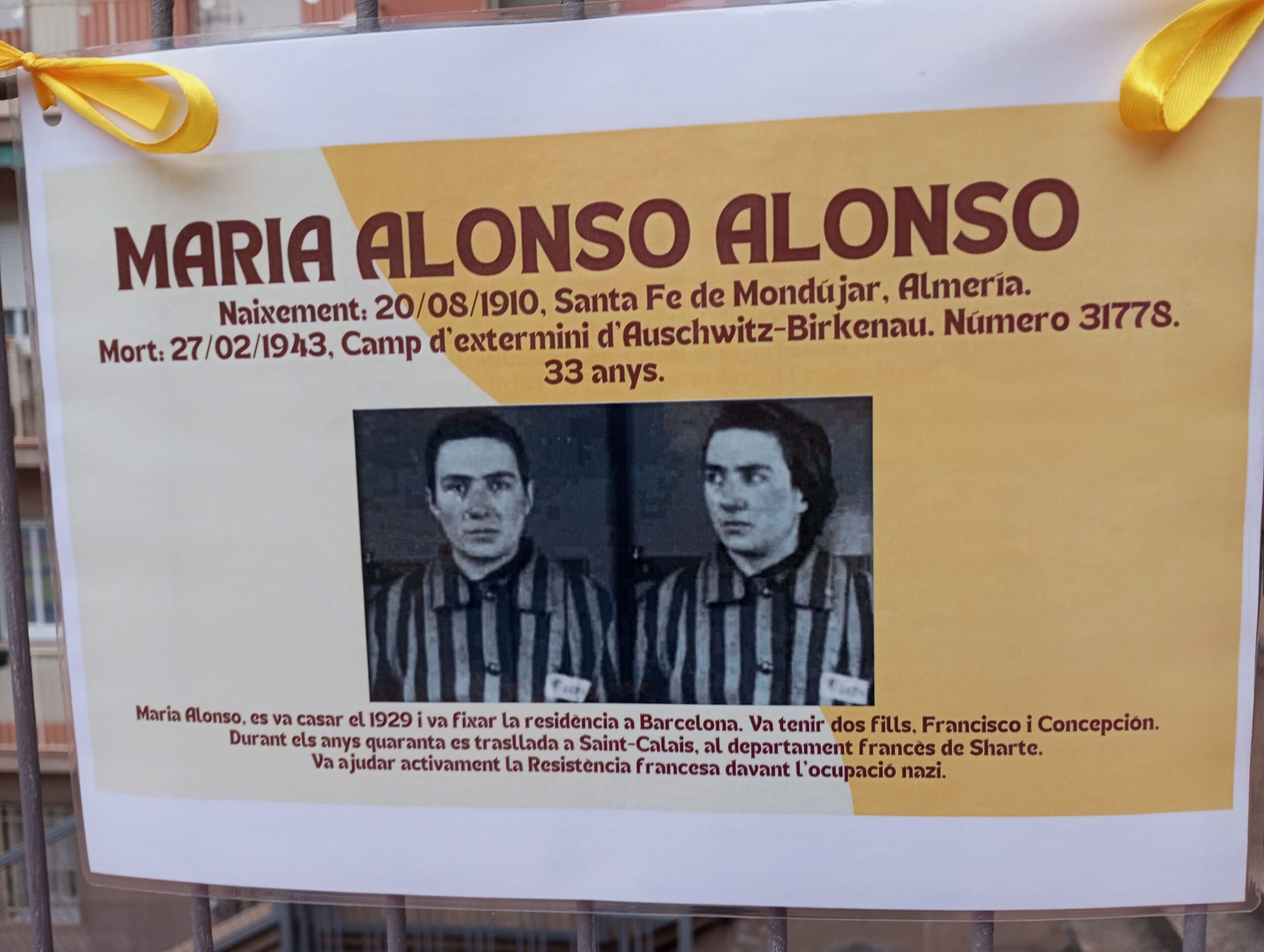 Projecte Crocus23_2023-2024