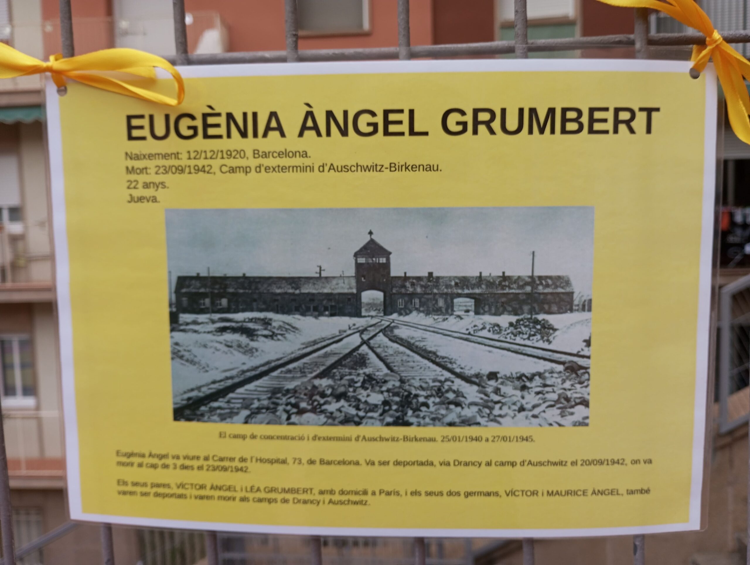 Projecte Crocus24_2023-2024