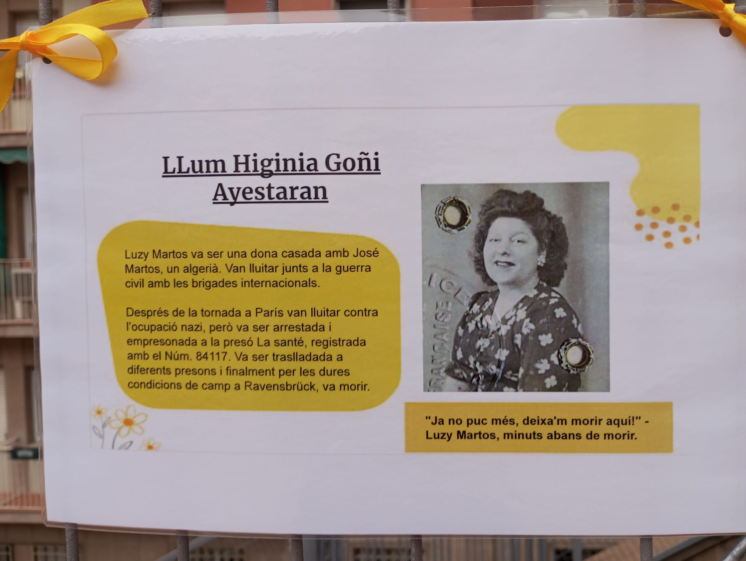 Projecte Crocus25_2023-2024