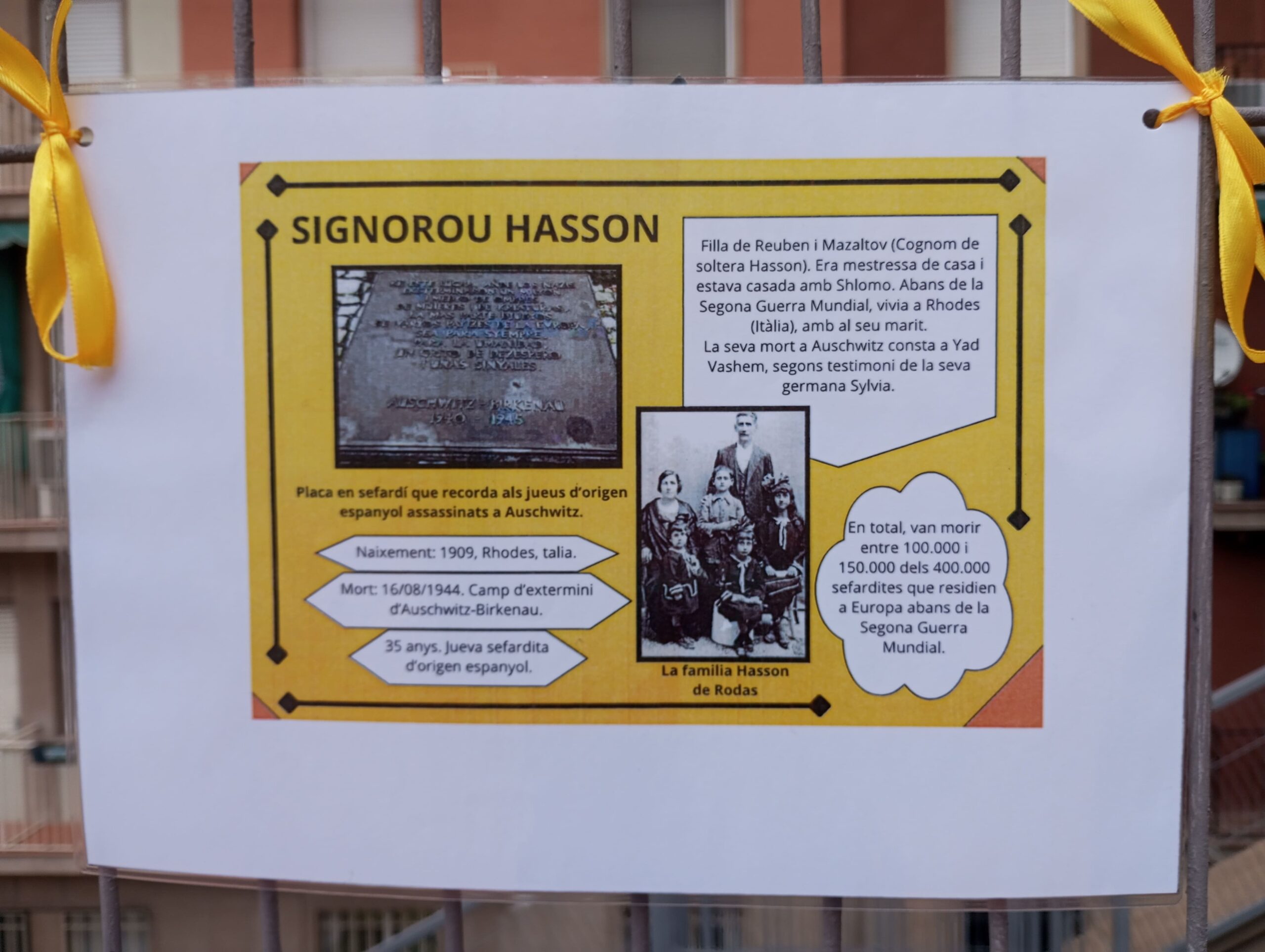 Projecte Crocus26_2023-2024