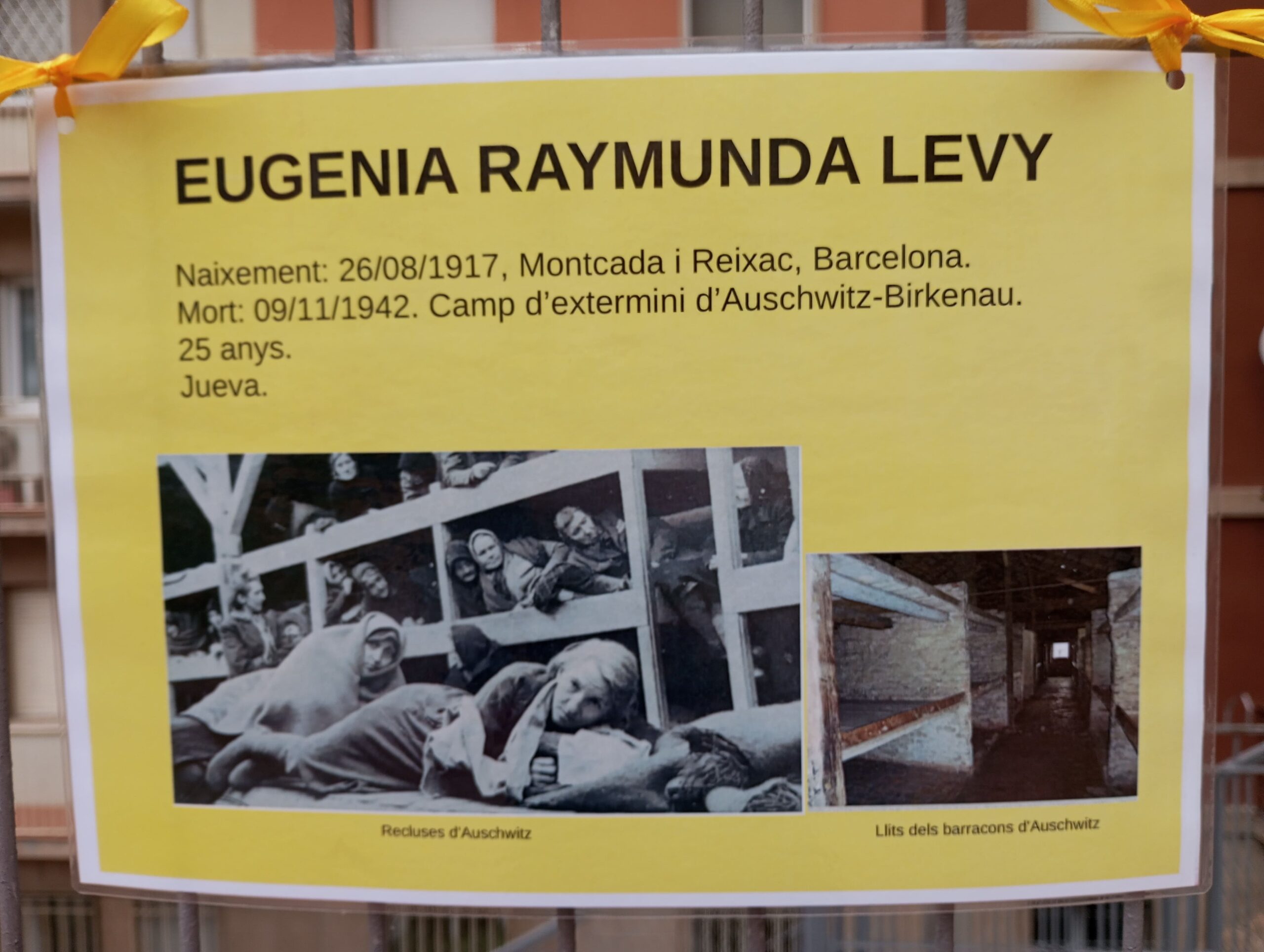 Projecte Crocus27_2023-2024