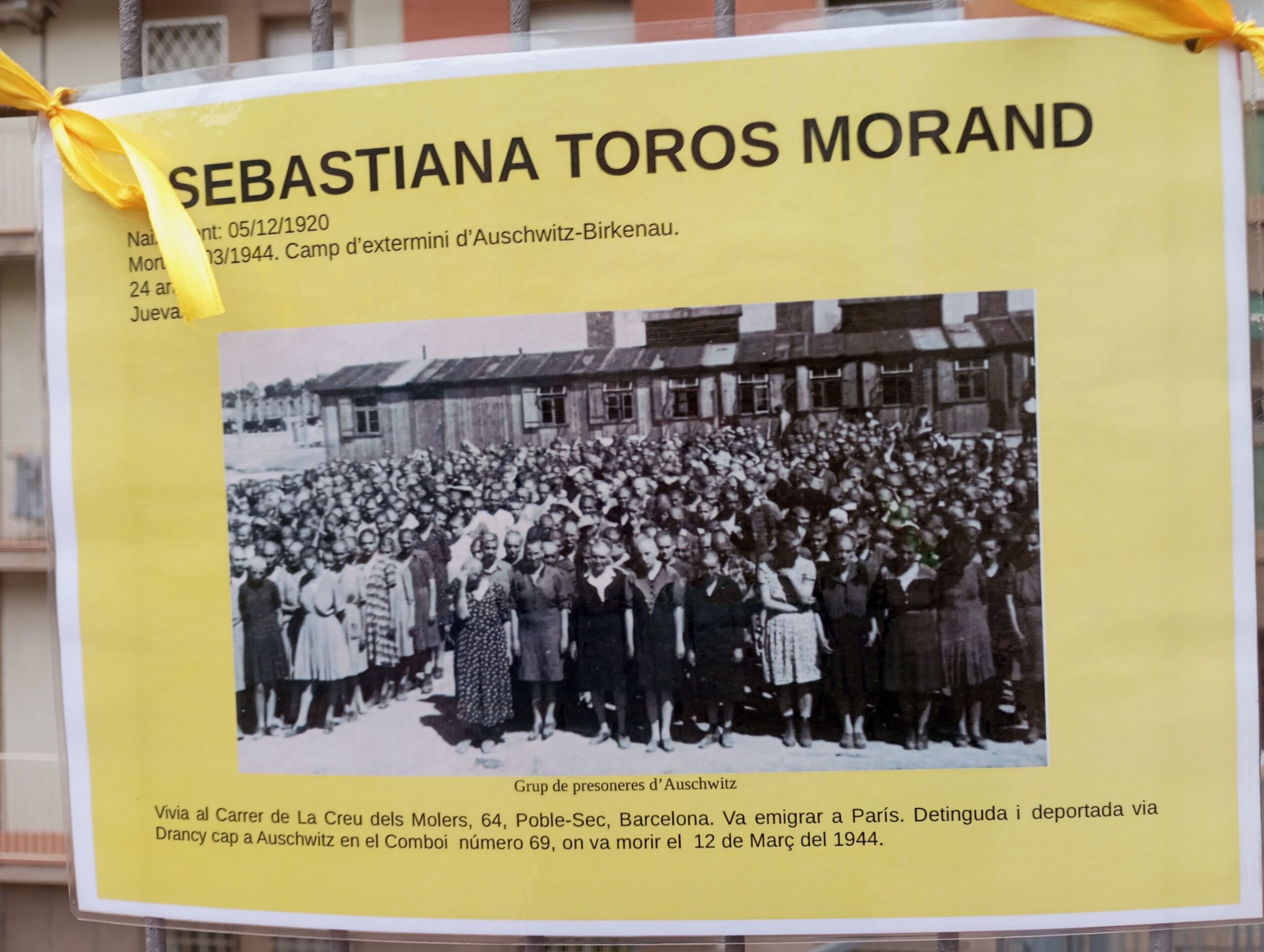 Projecte Crocus28_2023-2024