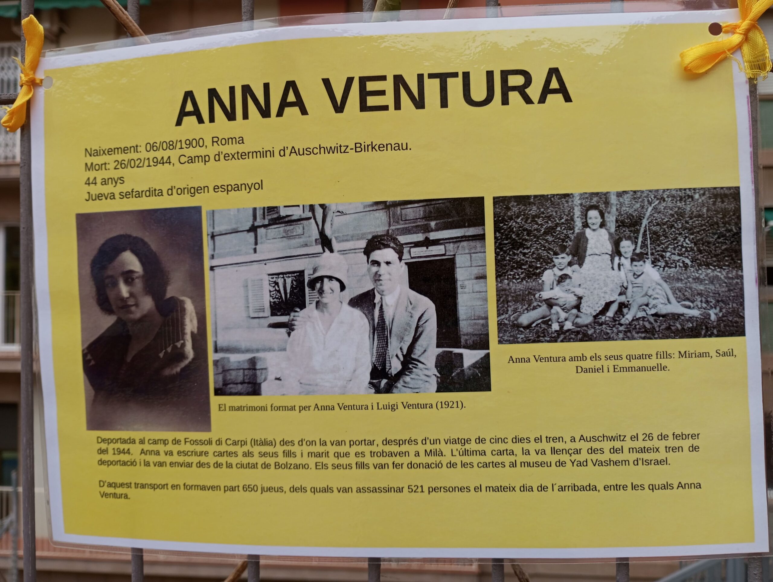 Projecte Crocus29_2023-2024