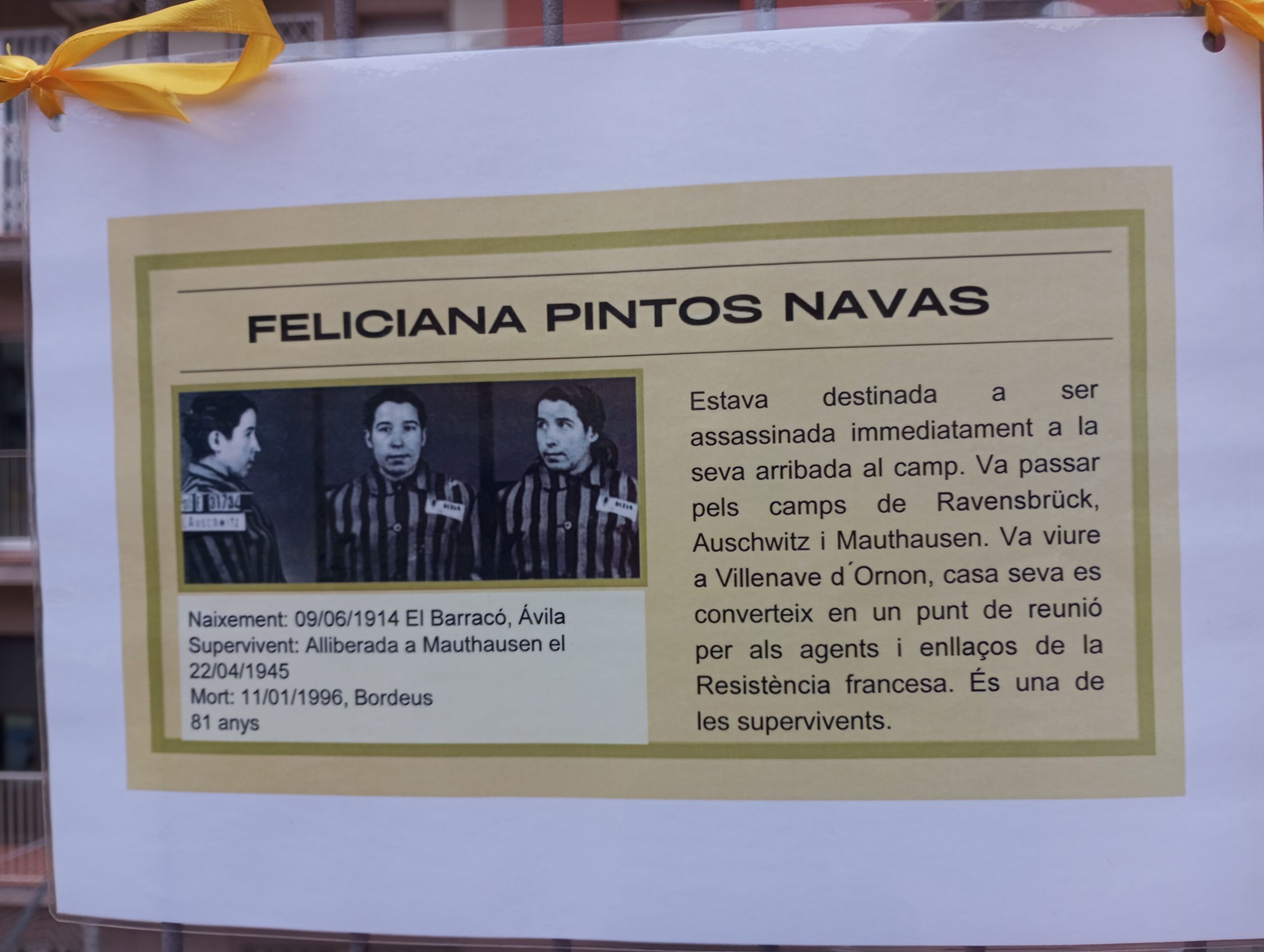 Projecte Crocus30_2023-2024