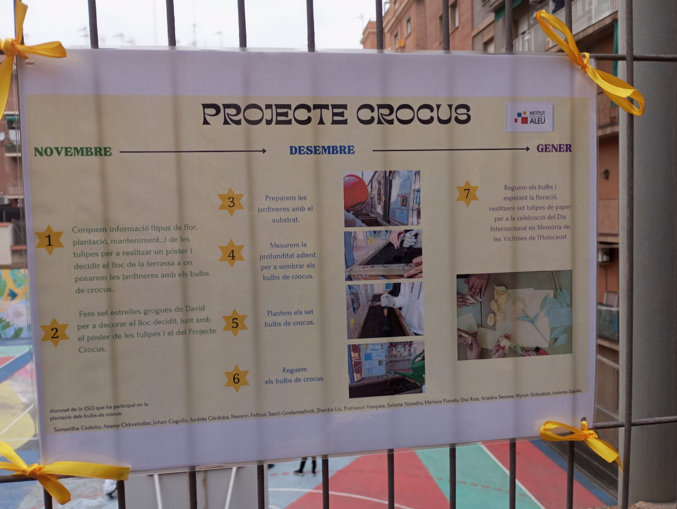 Projecte Crocus4_2023-2024
