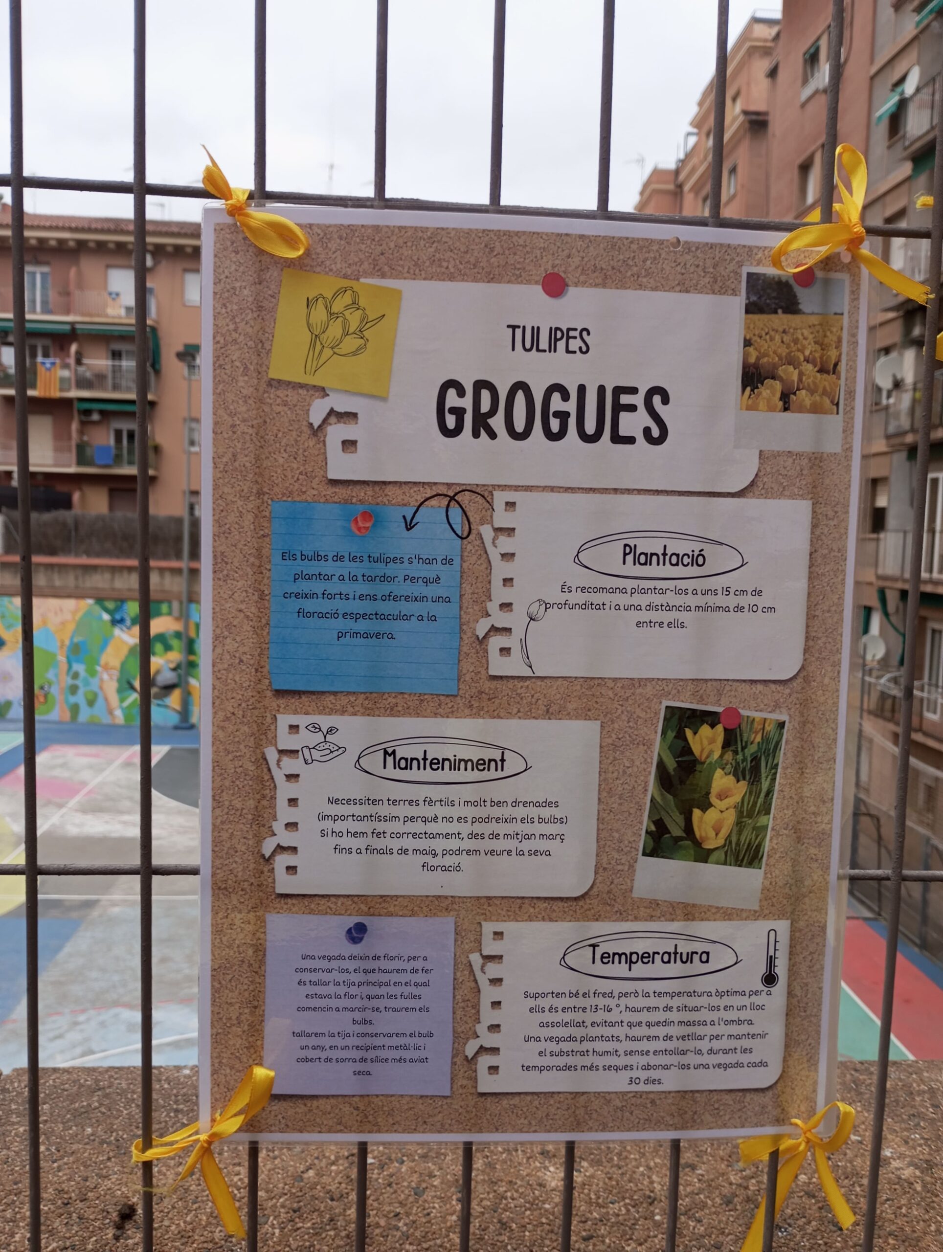 Projecte Crocus5_2023-2024